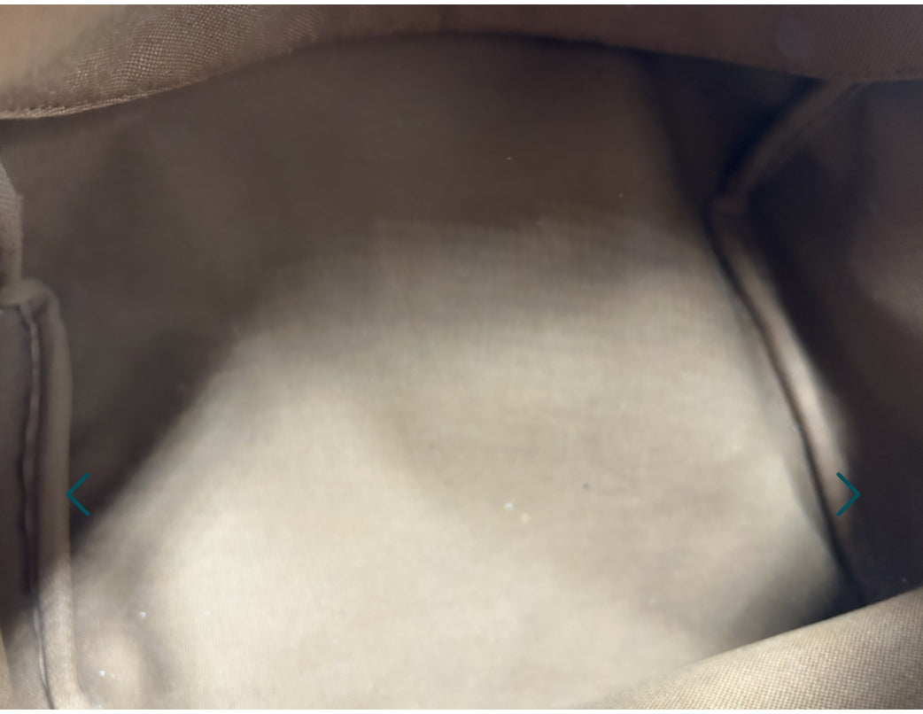 Louis Vuitton speedy 25 canvas monogram