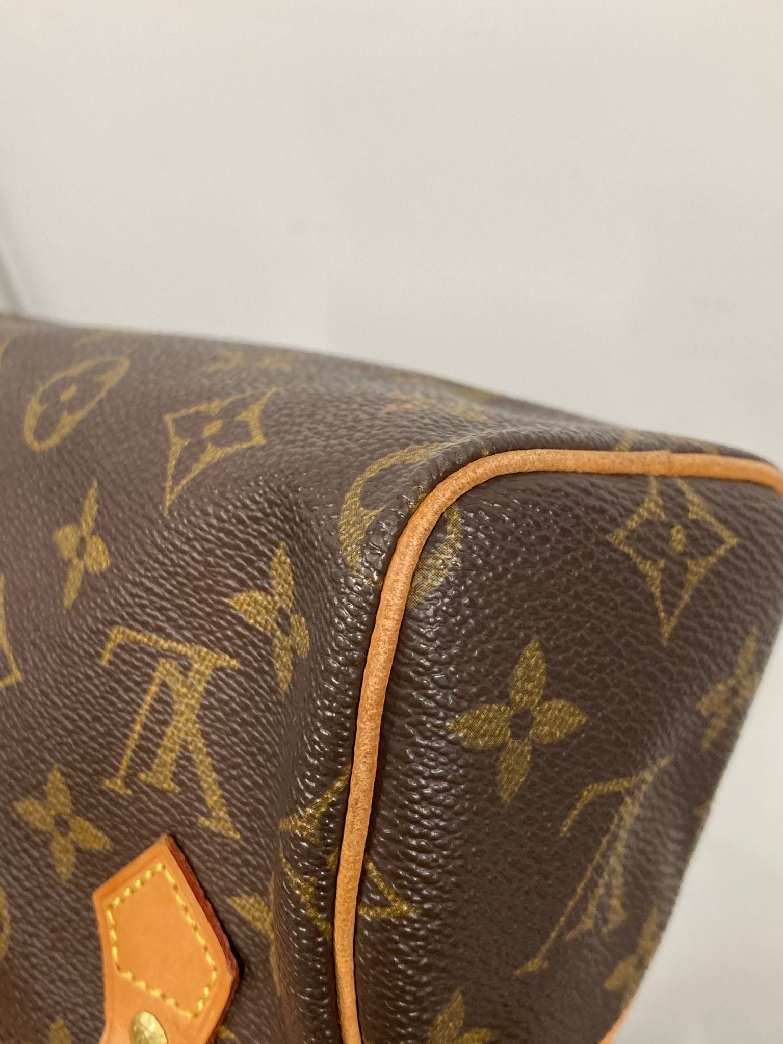 Louis Vuitton mini speedy canvas monogram
