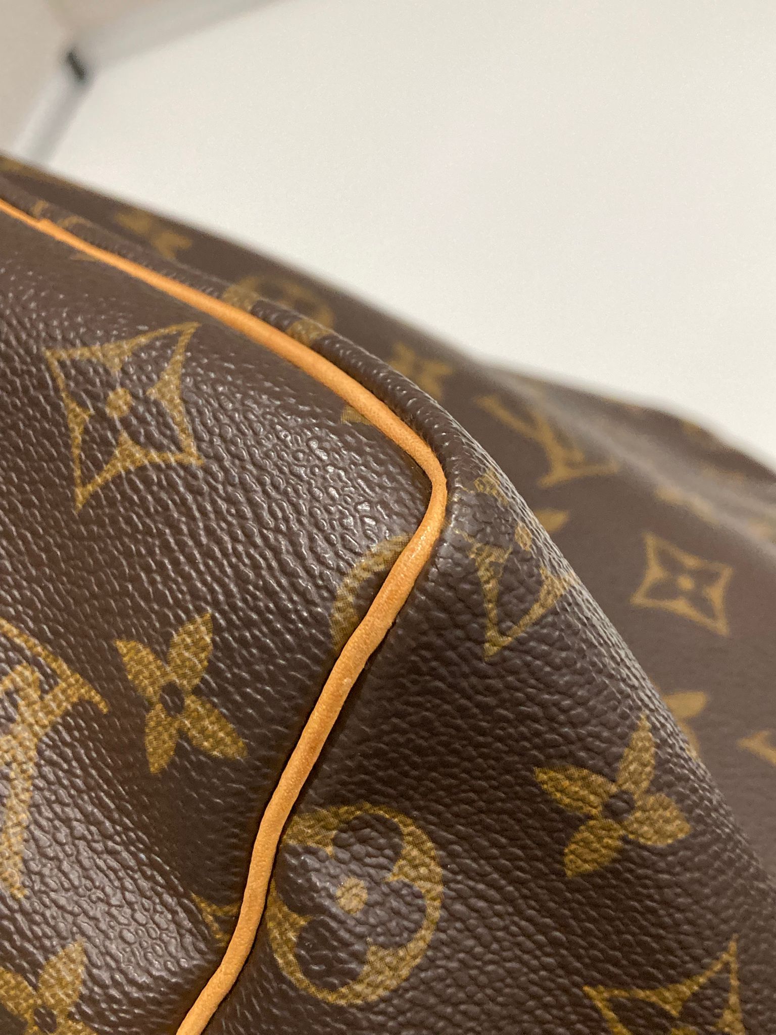 Louis Vuitton speedy 25 canvas monogram