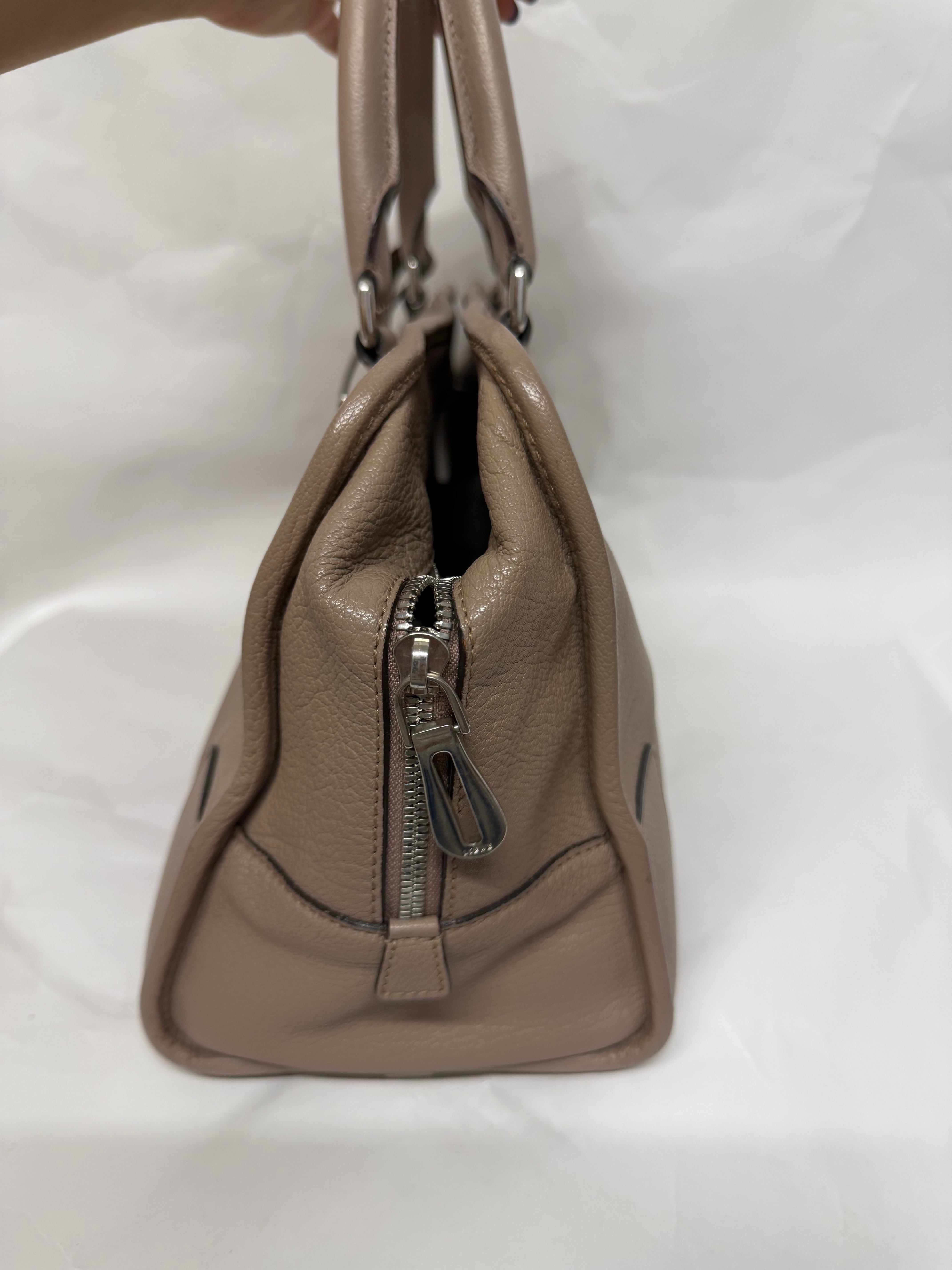 Loewe Amazona 36 | Piel Granulada Greige