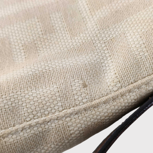 Fendi baguette zucca Arena