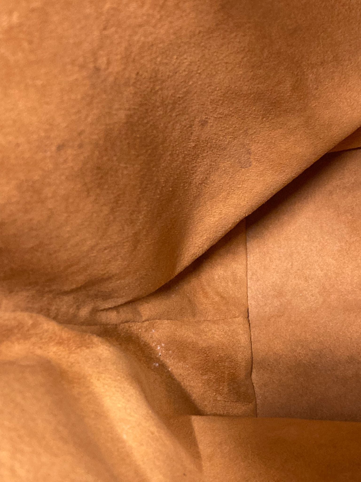 Louis Vuitton Noé Epi Leather Bucket Bag Marrón