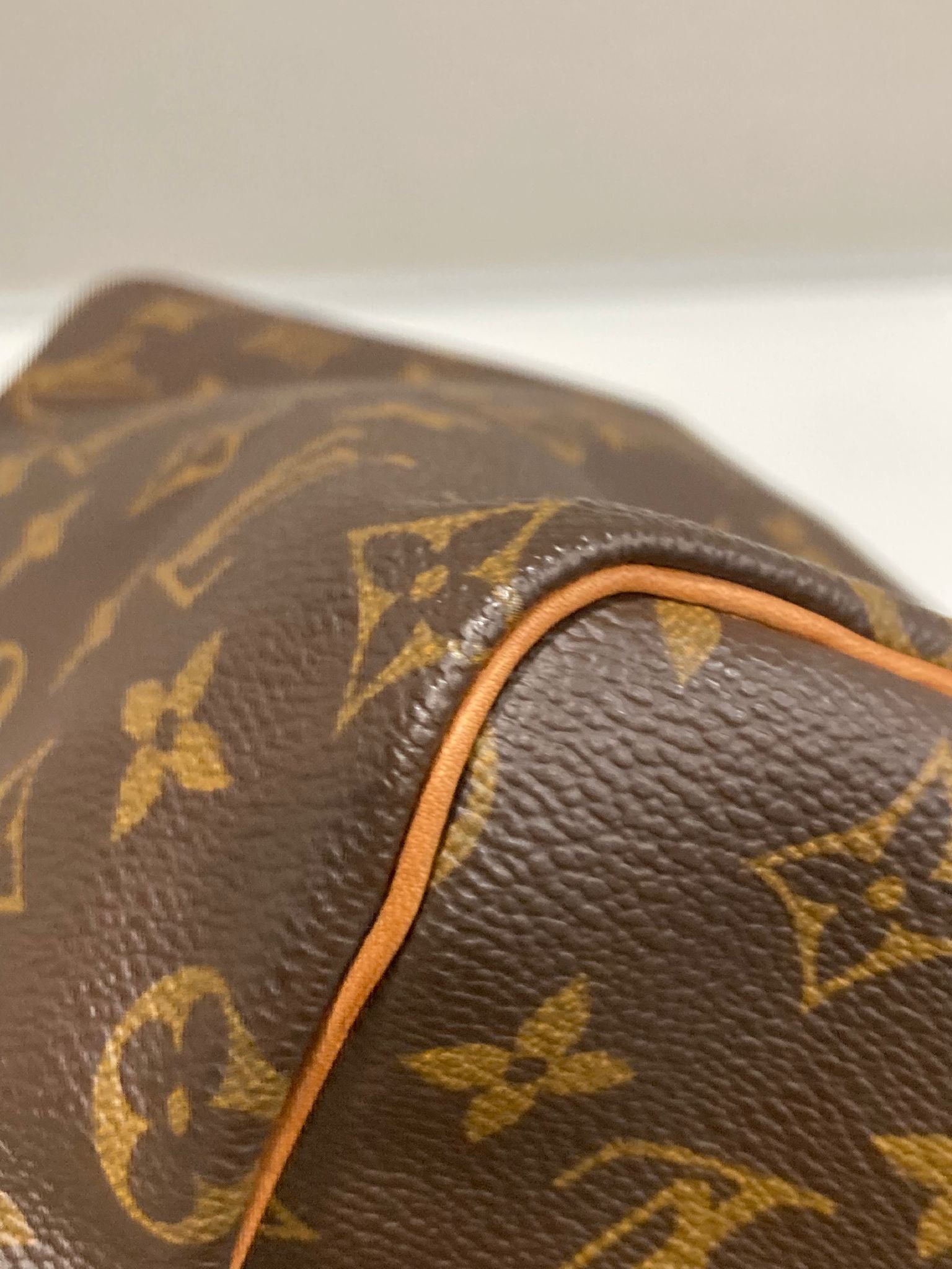 Louis Vuitton speedy 25 monogram canvas