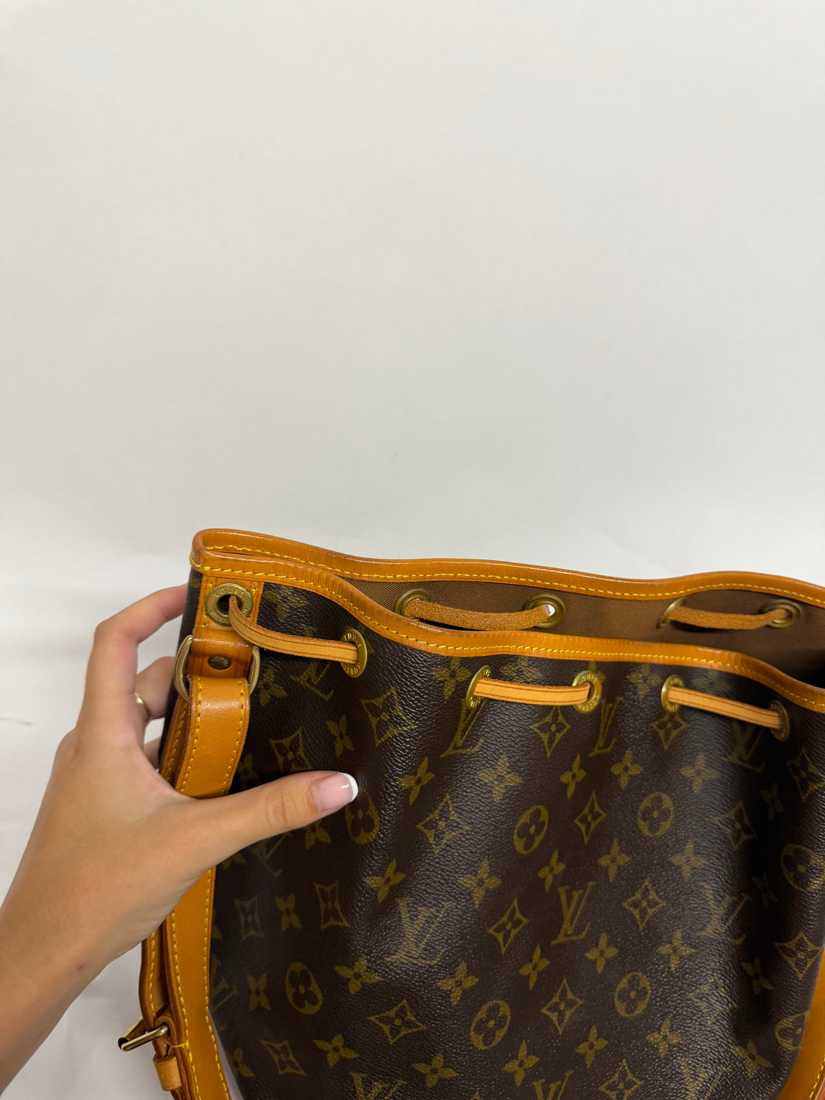 Louis Vuitton Petit Noé Monogram