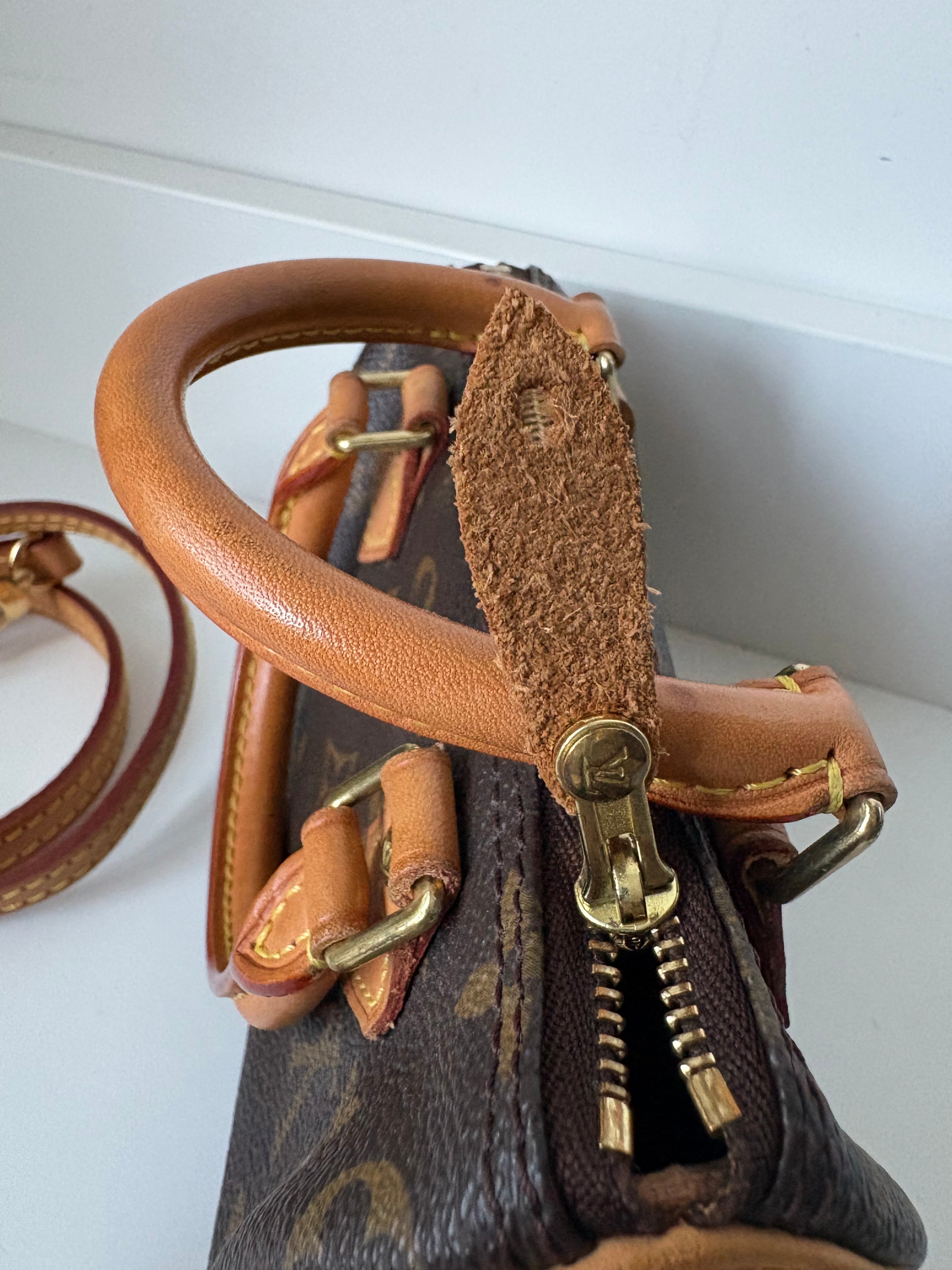 Louis Vuitton Nano Speedy Canvas monogram con correa