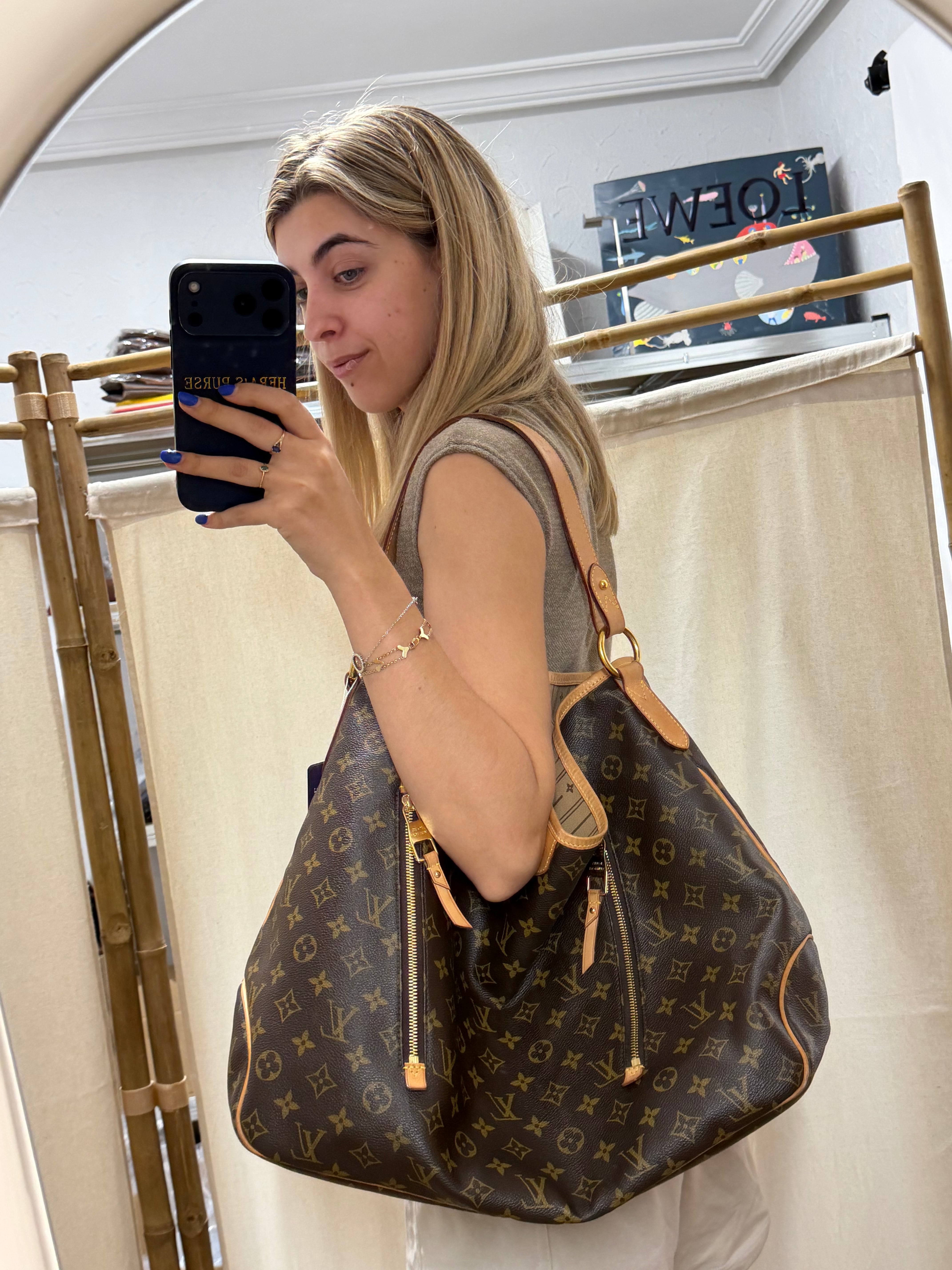 Louis Vuitton Delightful GM | Monogram