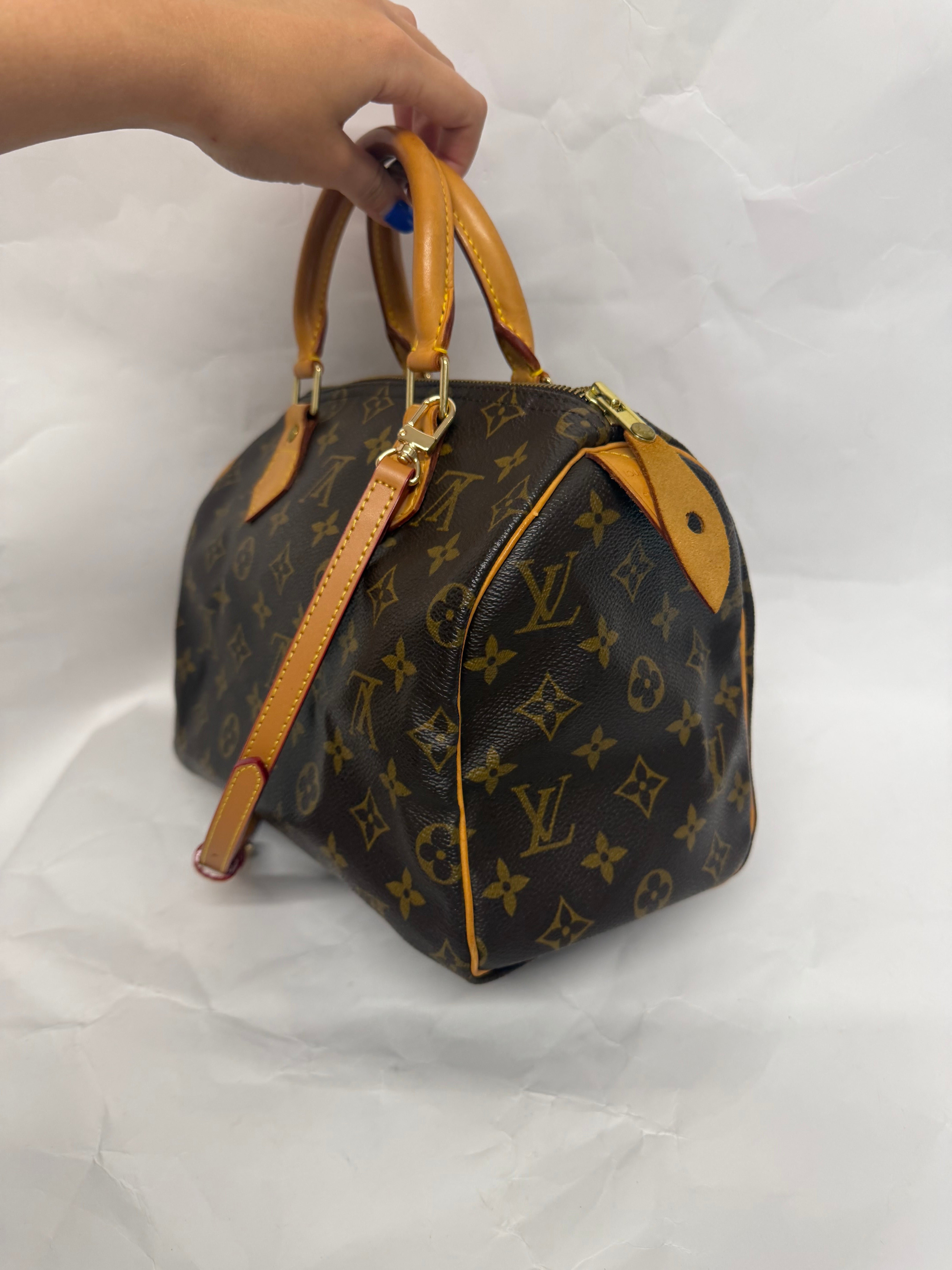 Louis Vuitton Speedy 25 | Monogram