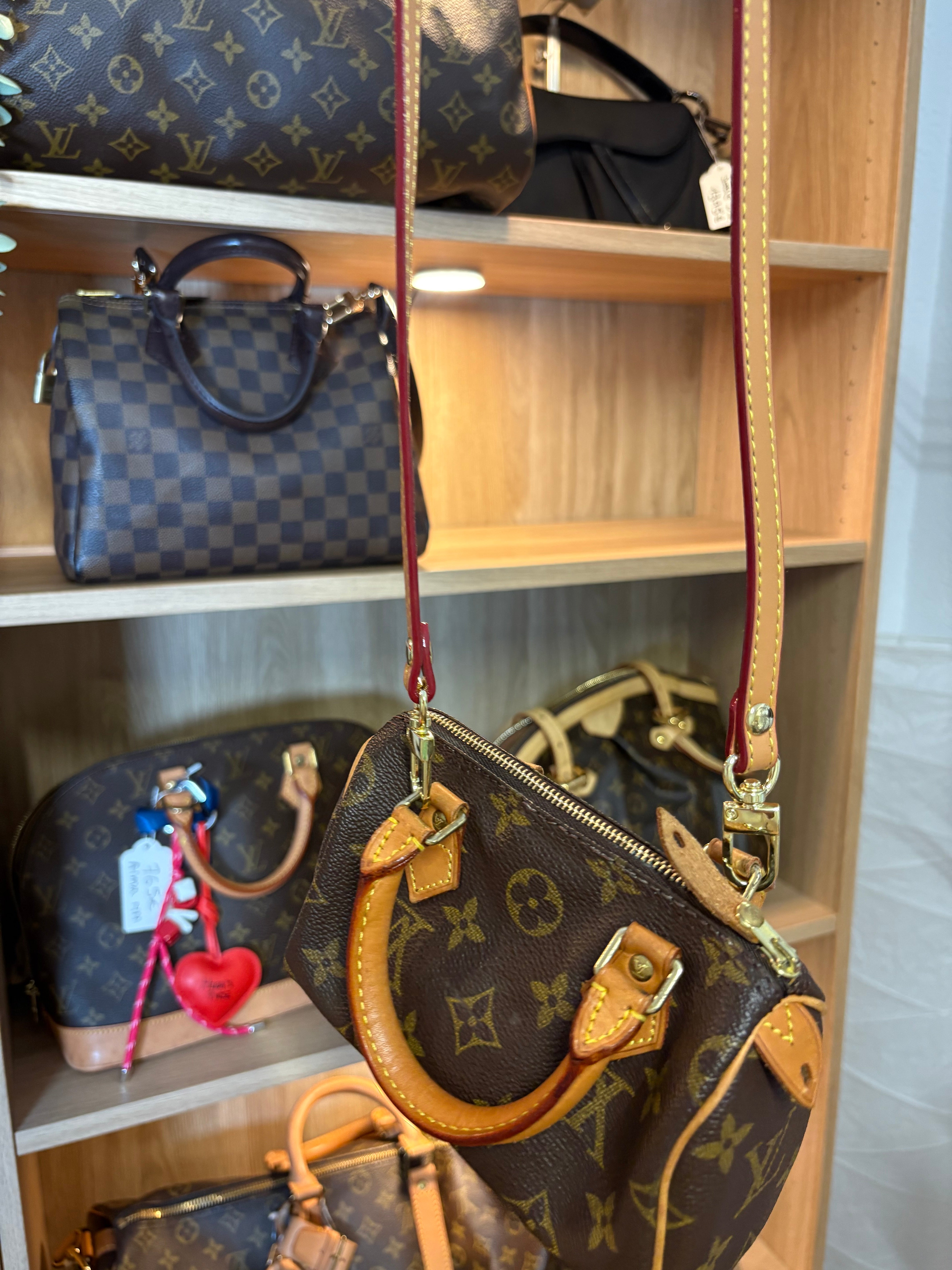 Louis Vuitton mini speedy canvas monogram
