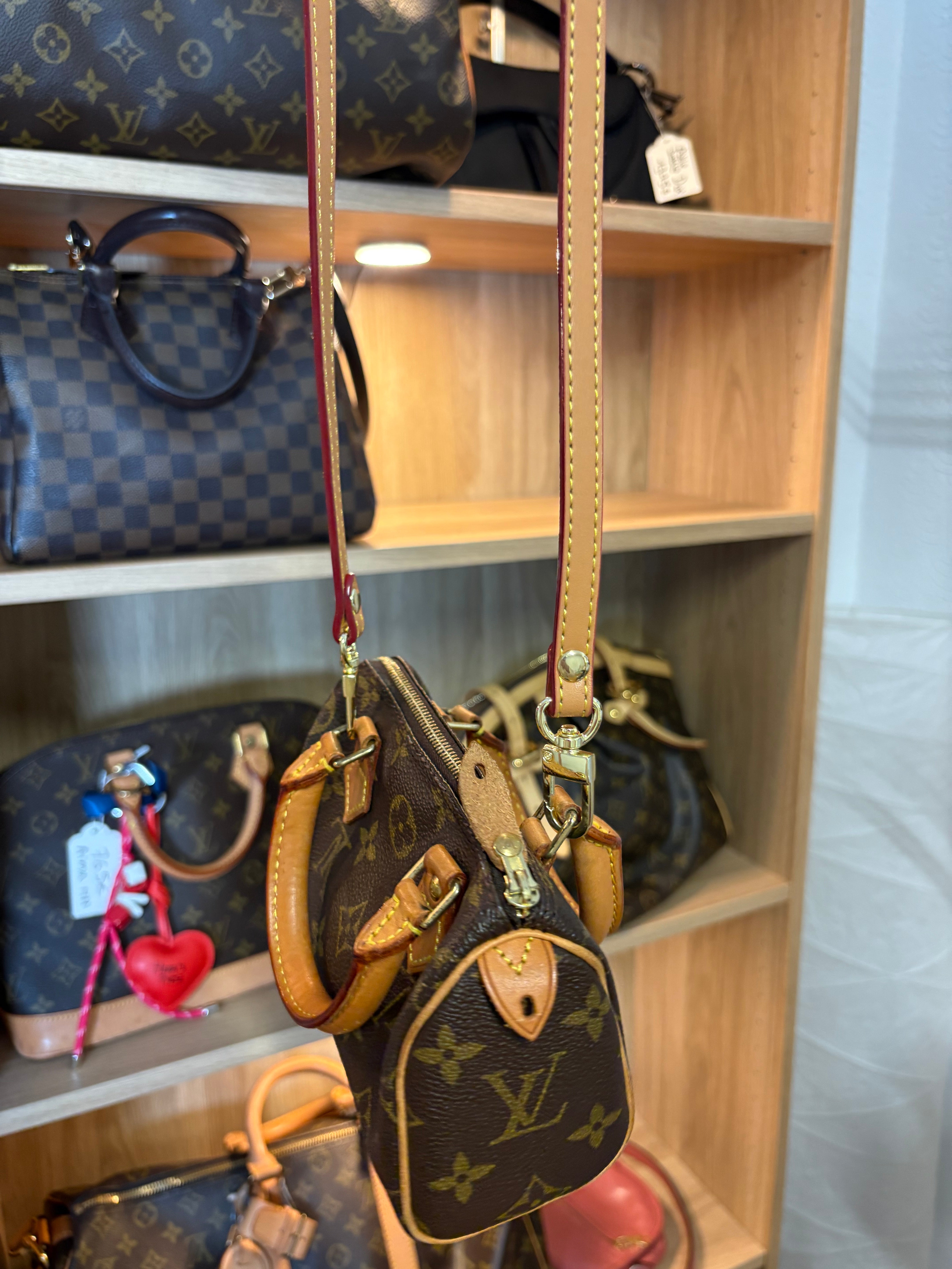 Louis Vuitton mini speedy canvas monogram