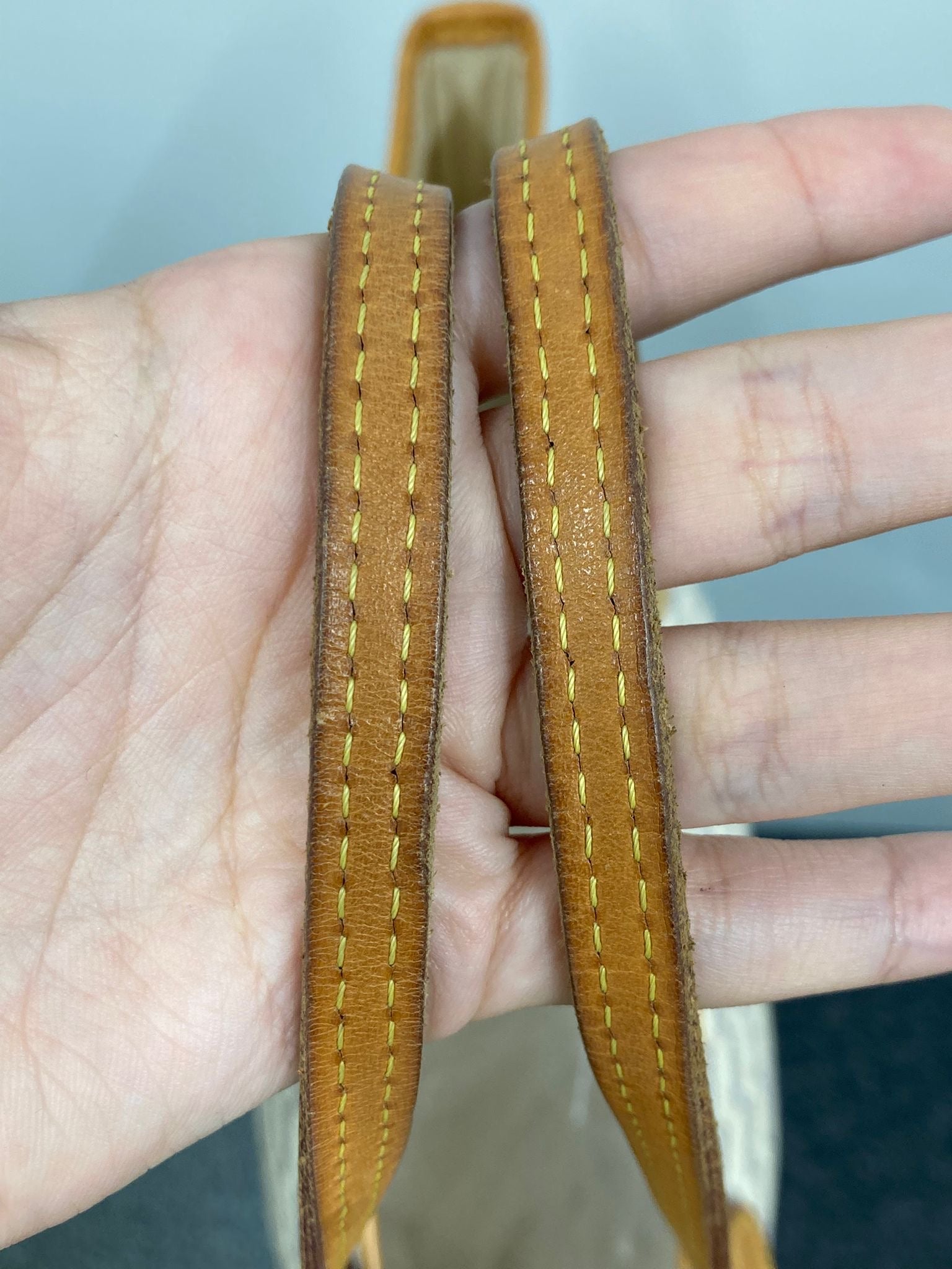 Louis Vuitton Neverfull PM Damier Azur