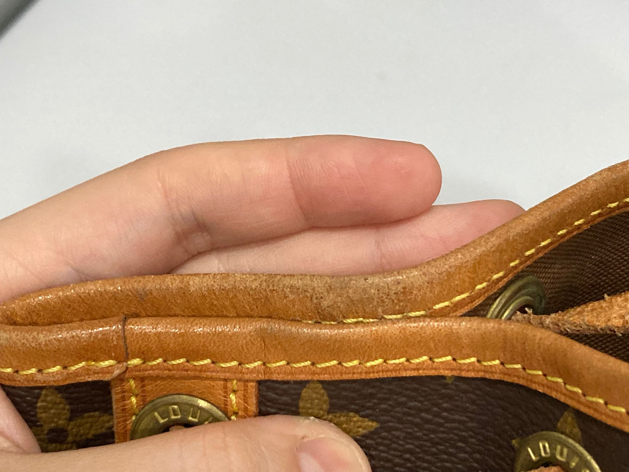 Louis Vuitton Petit Noé canvas monogram
