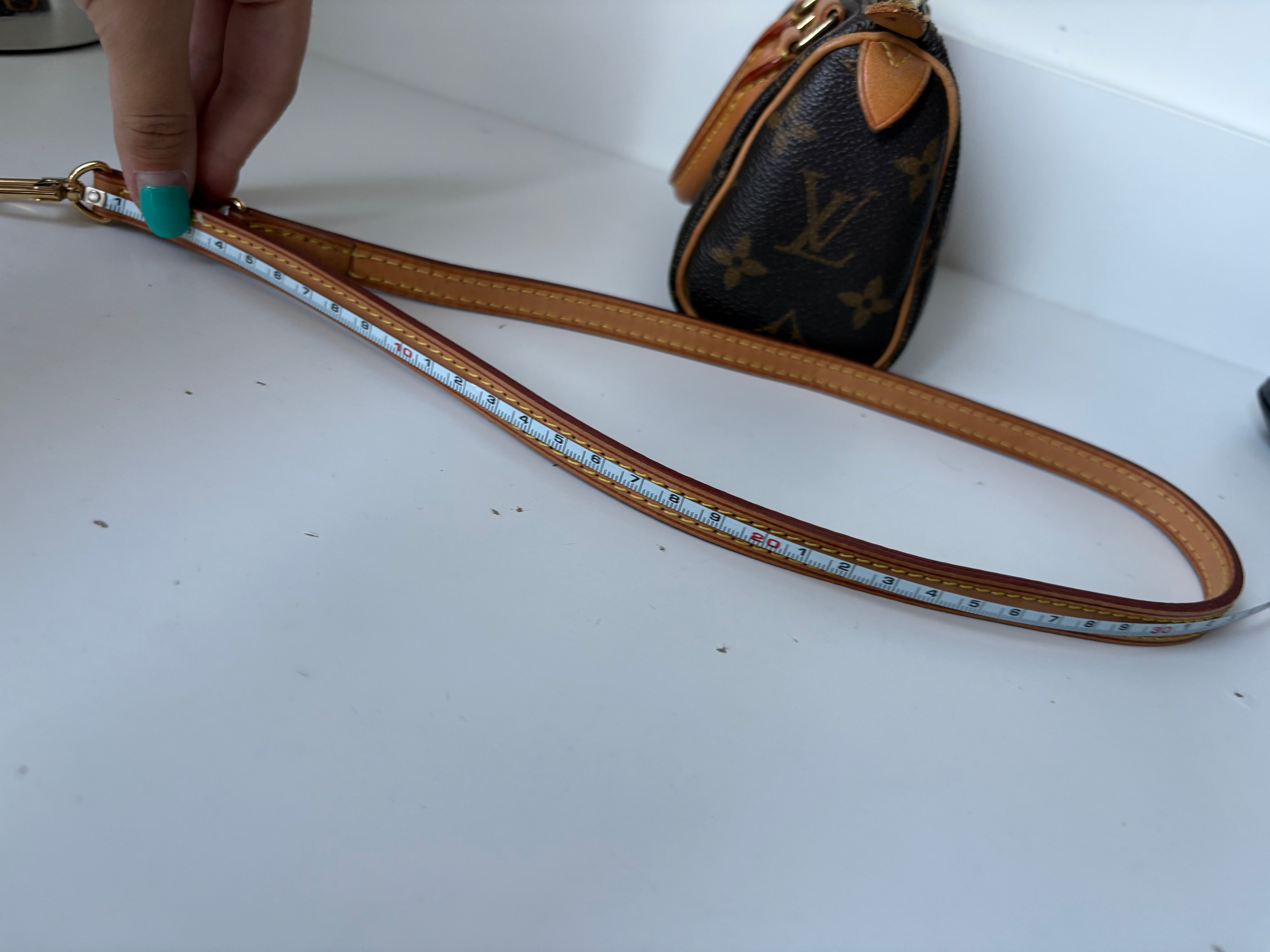 Louis Vuitton Nano Speedy Canvas monogram con correa