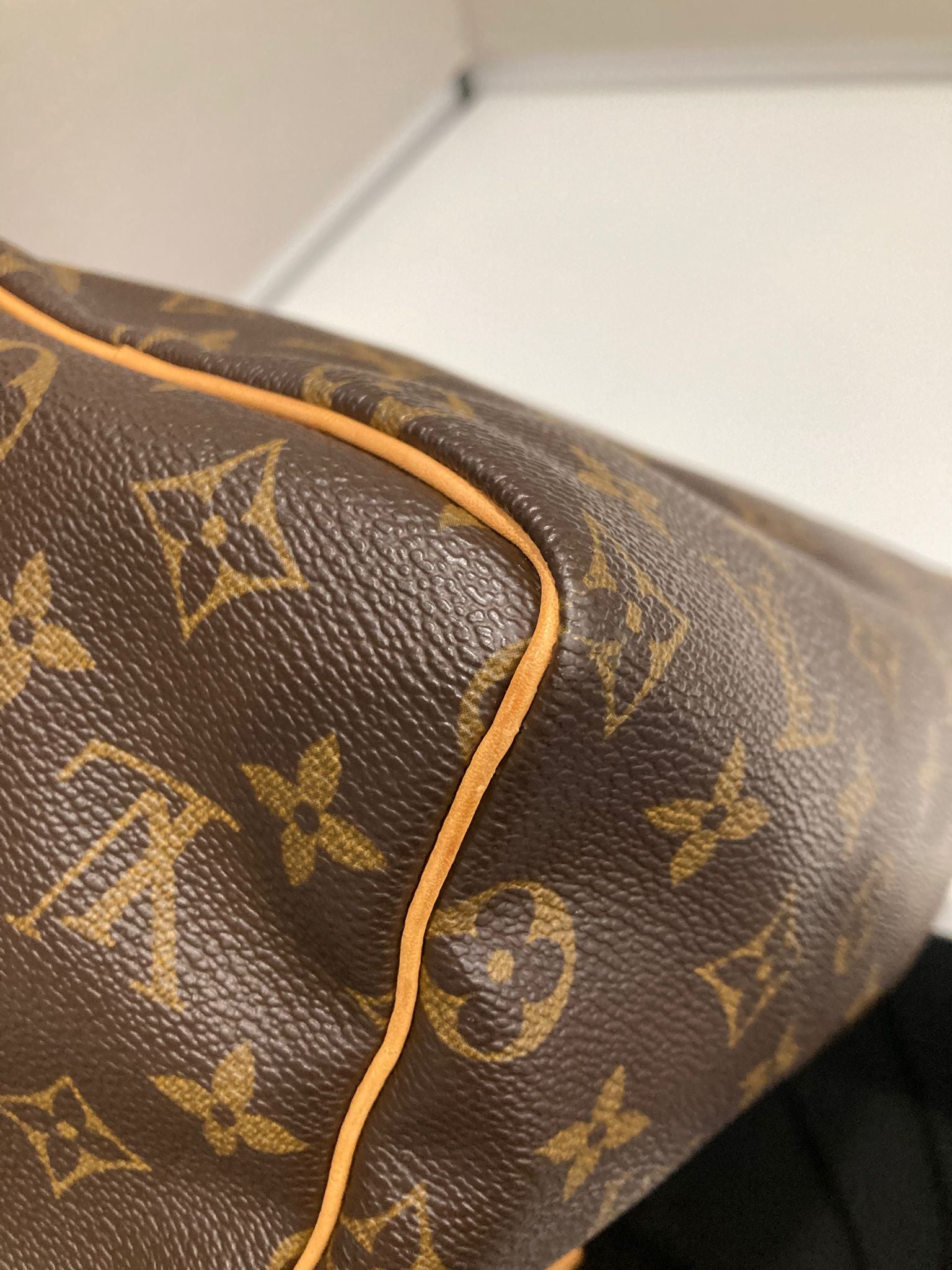 Louis Vuitton speedy 25 canvas monogram