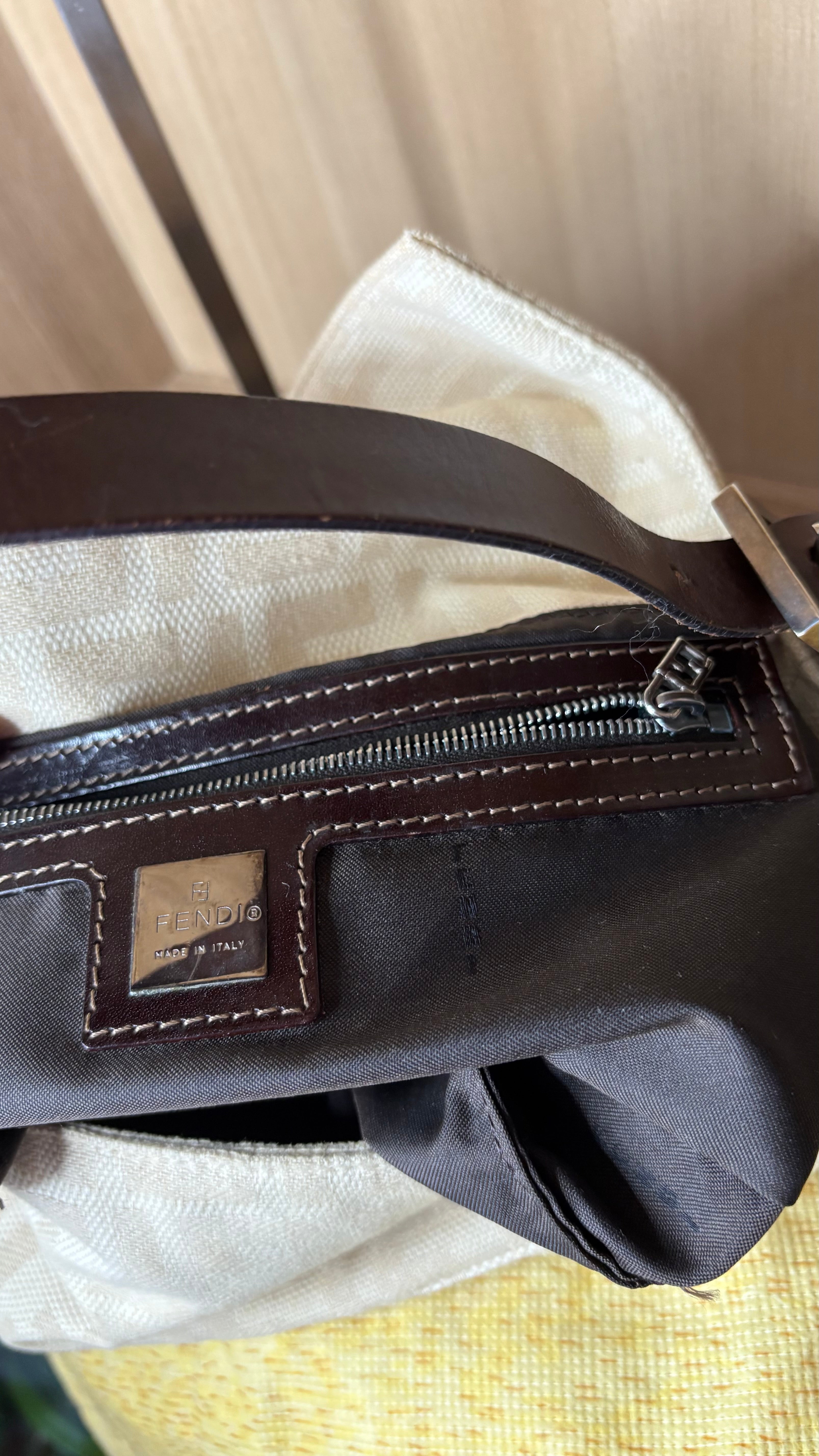 Fendi baguette zucca Arena