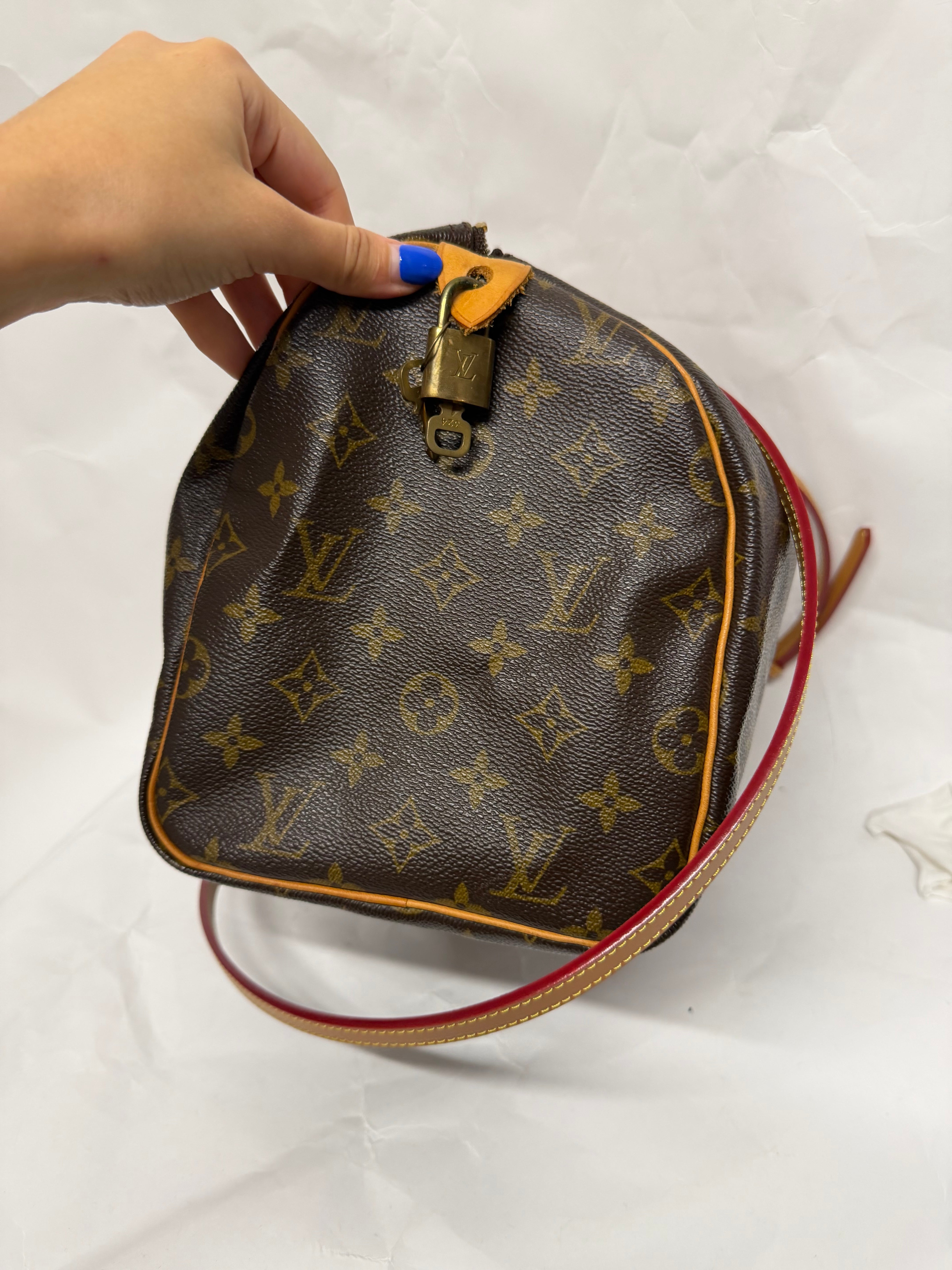 Louis Vuitton Speedy 30 Monogram