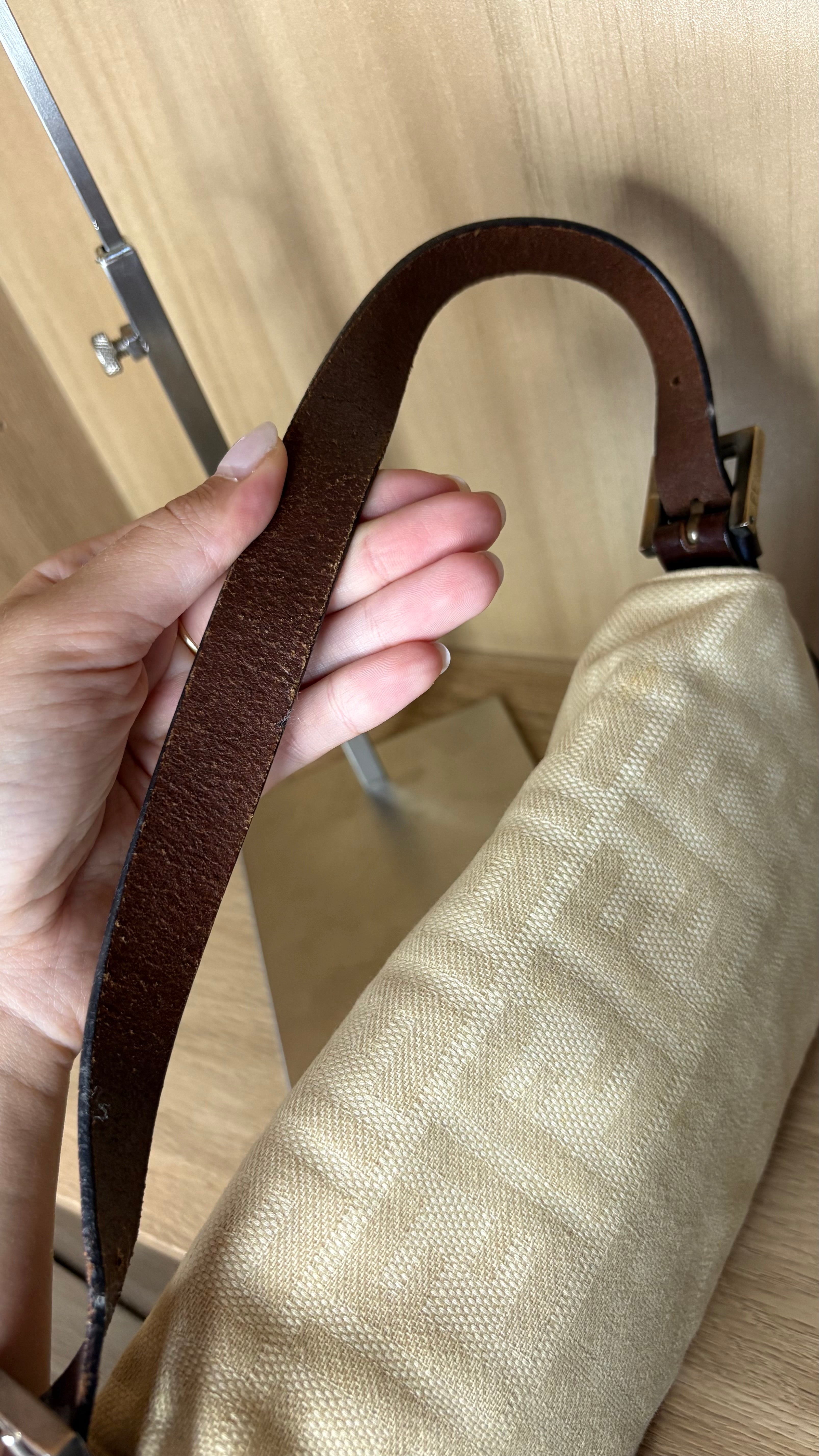 Fendi baguette zucca Arena