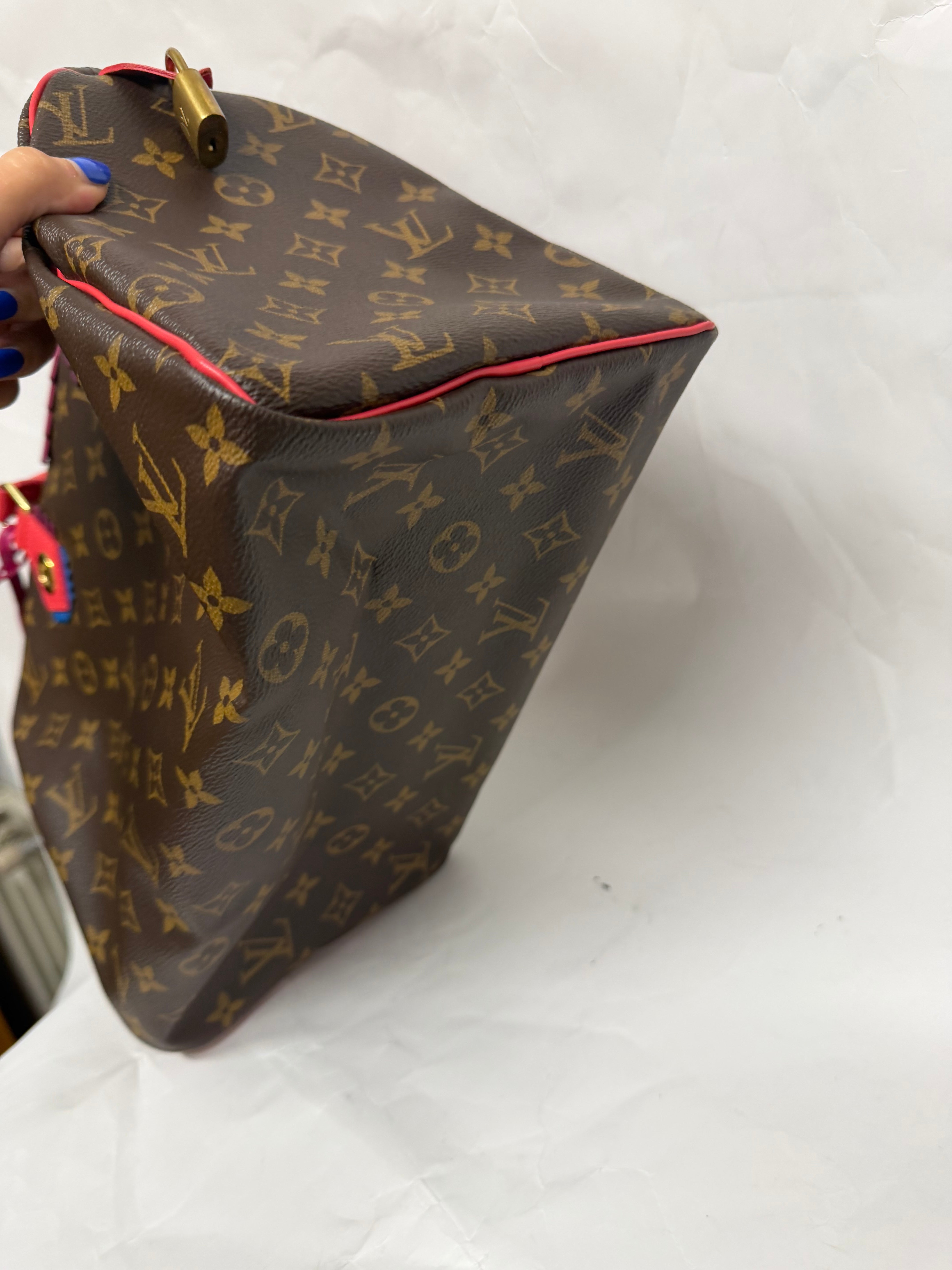 Louis Vuitton Speedy Totem 30 | Monogram