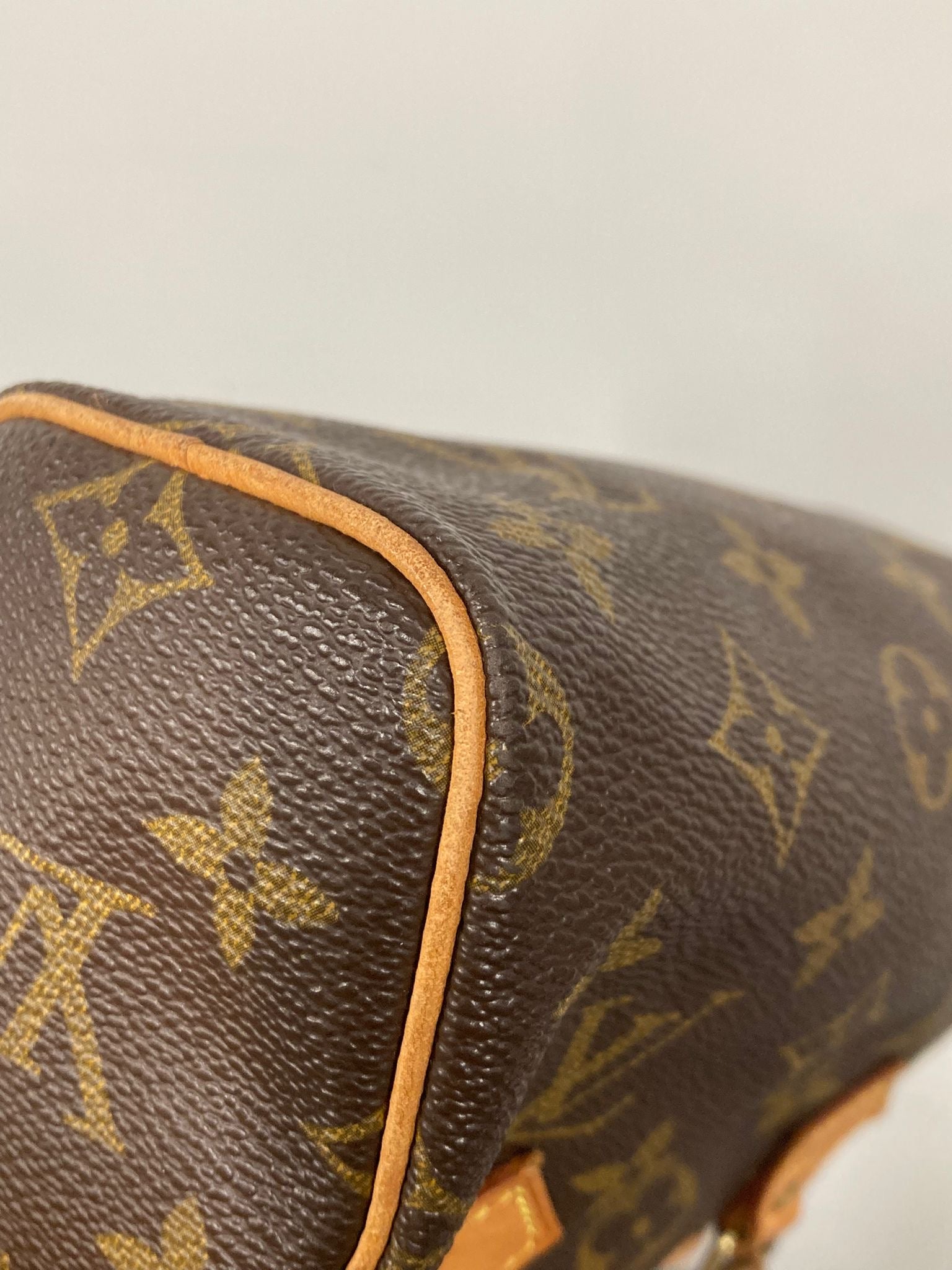 Louis Vuitton mini speedy canvas monogram