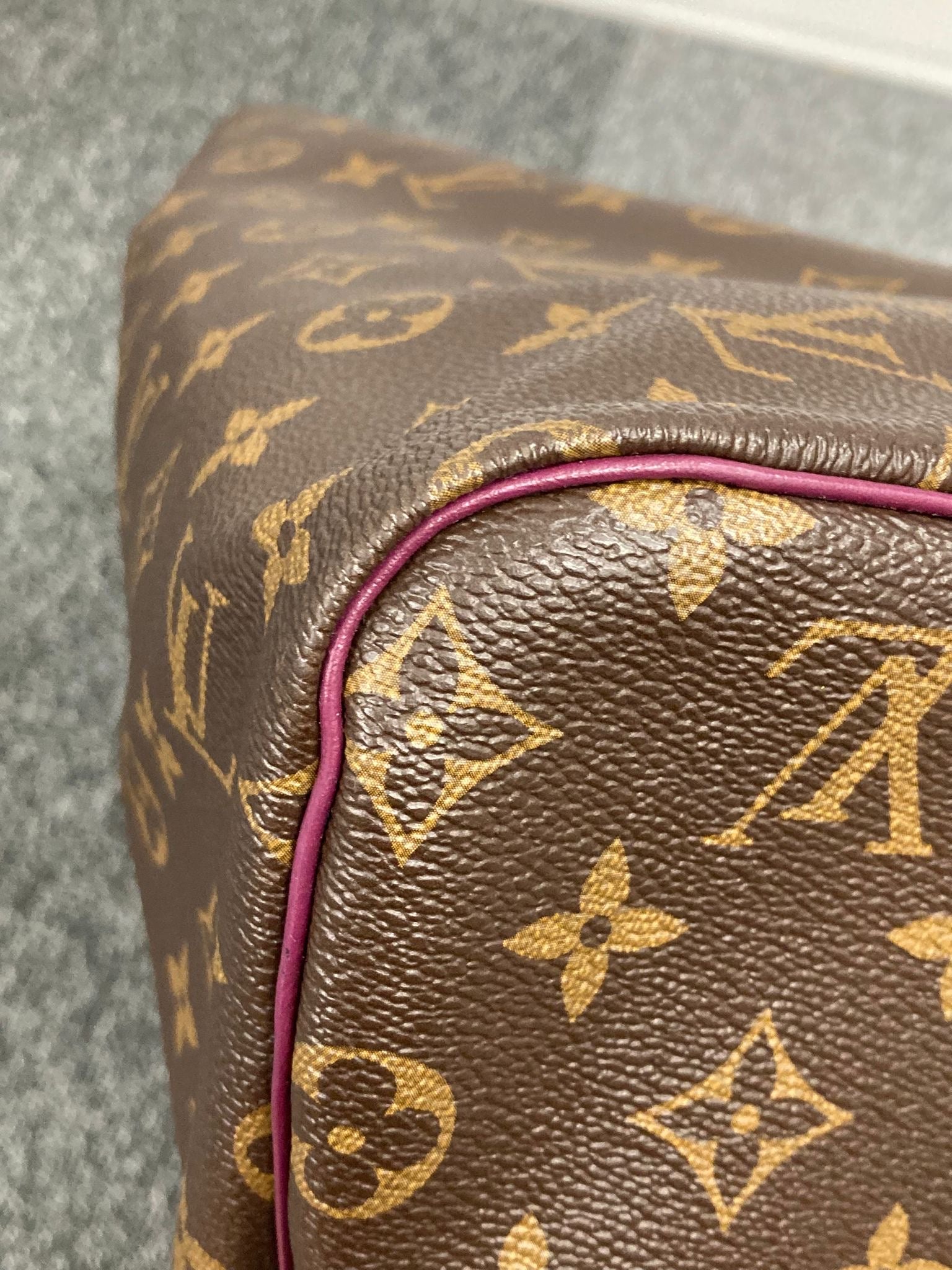 Louis Vuitton Speedy 30 Totem Monogram