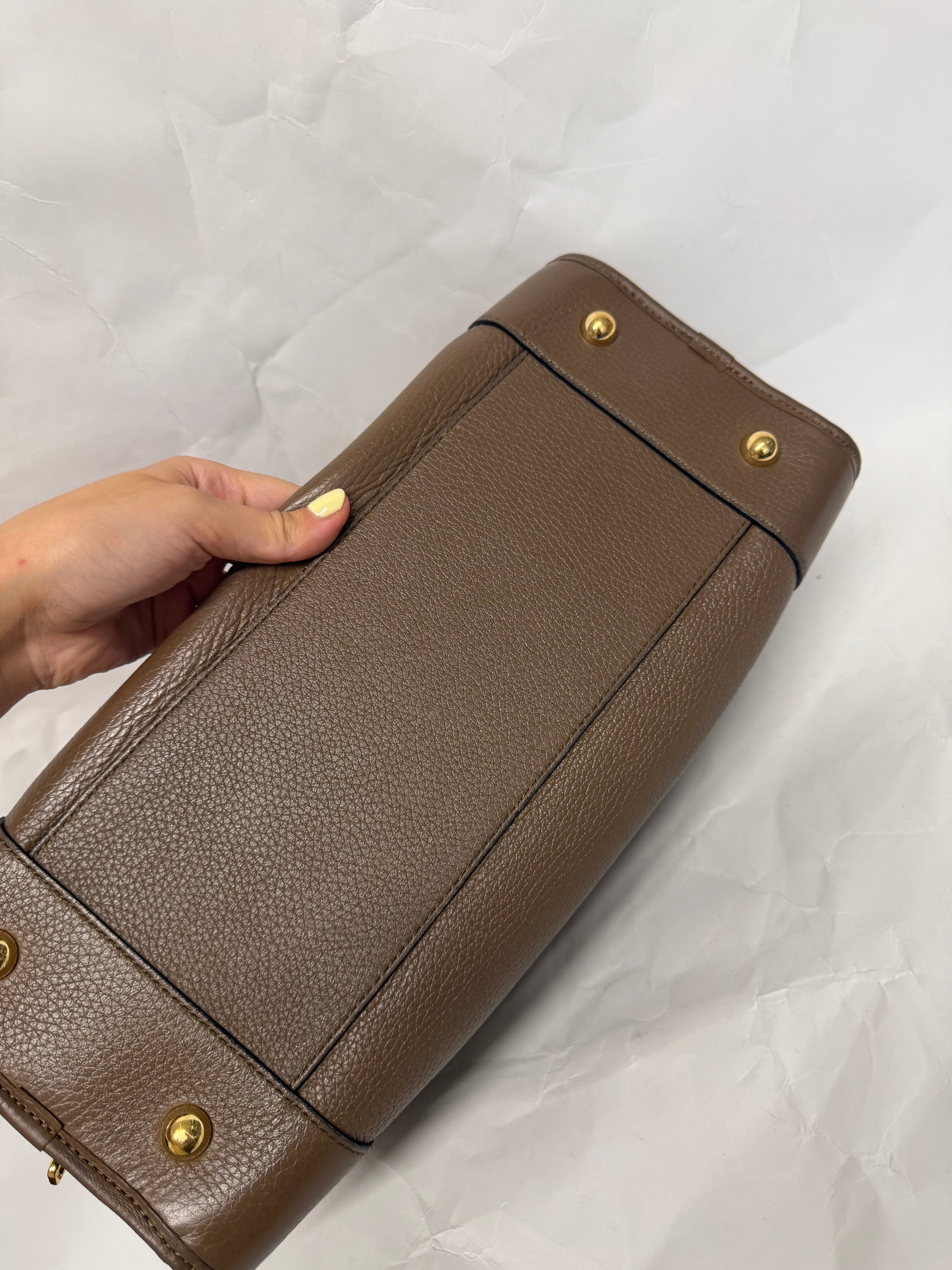 Loewe Amazona 36 Piel Becerro Marrón