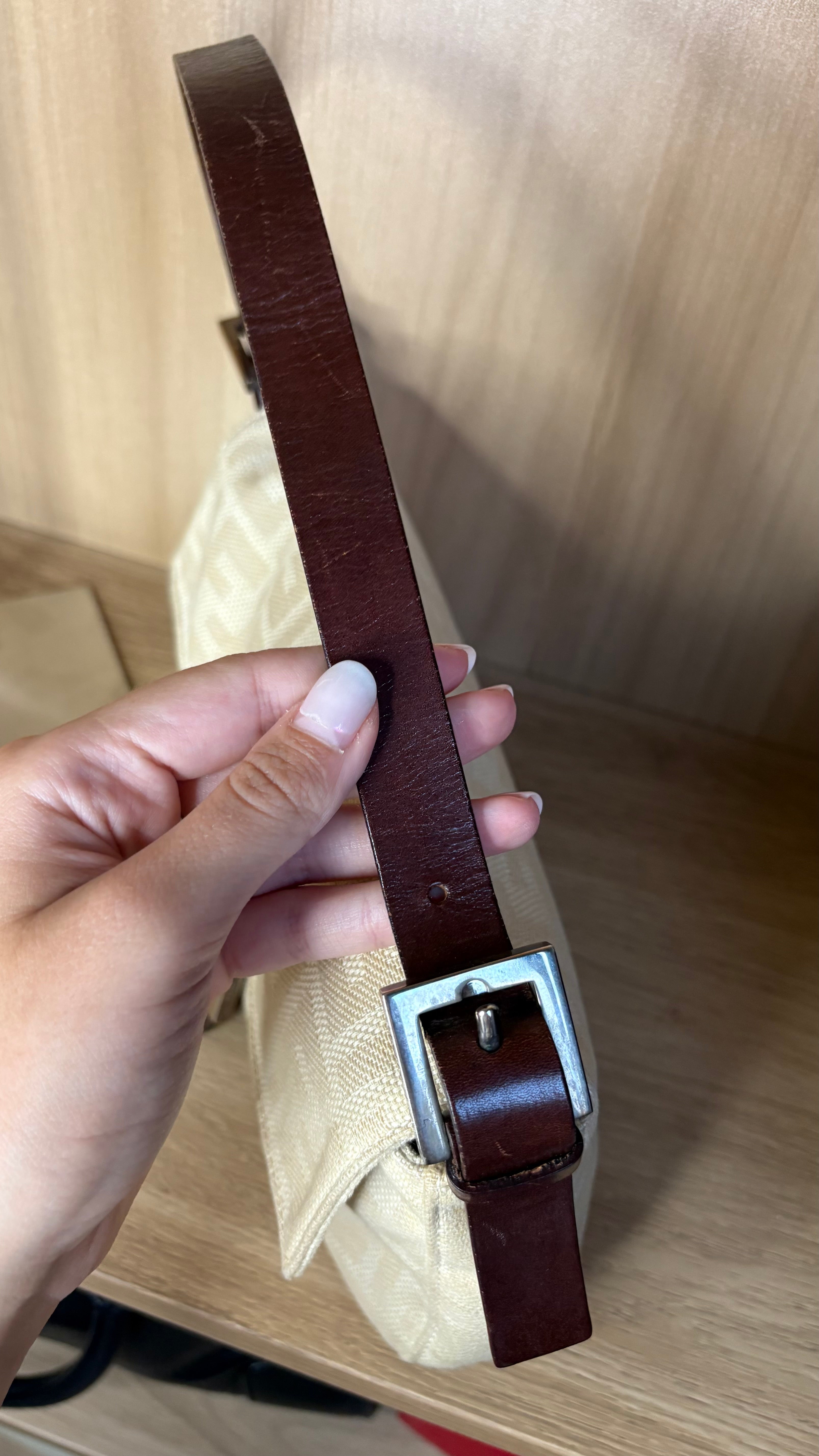 Fendi baguette zucca Arena