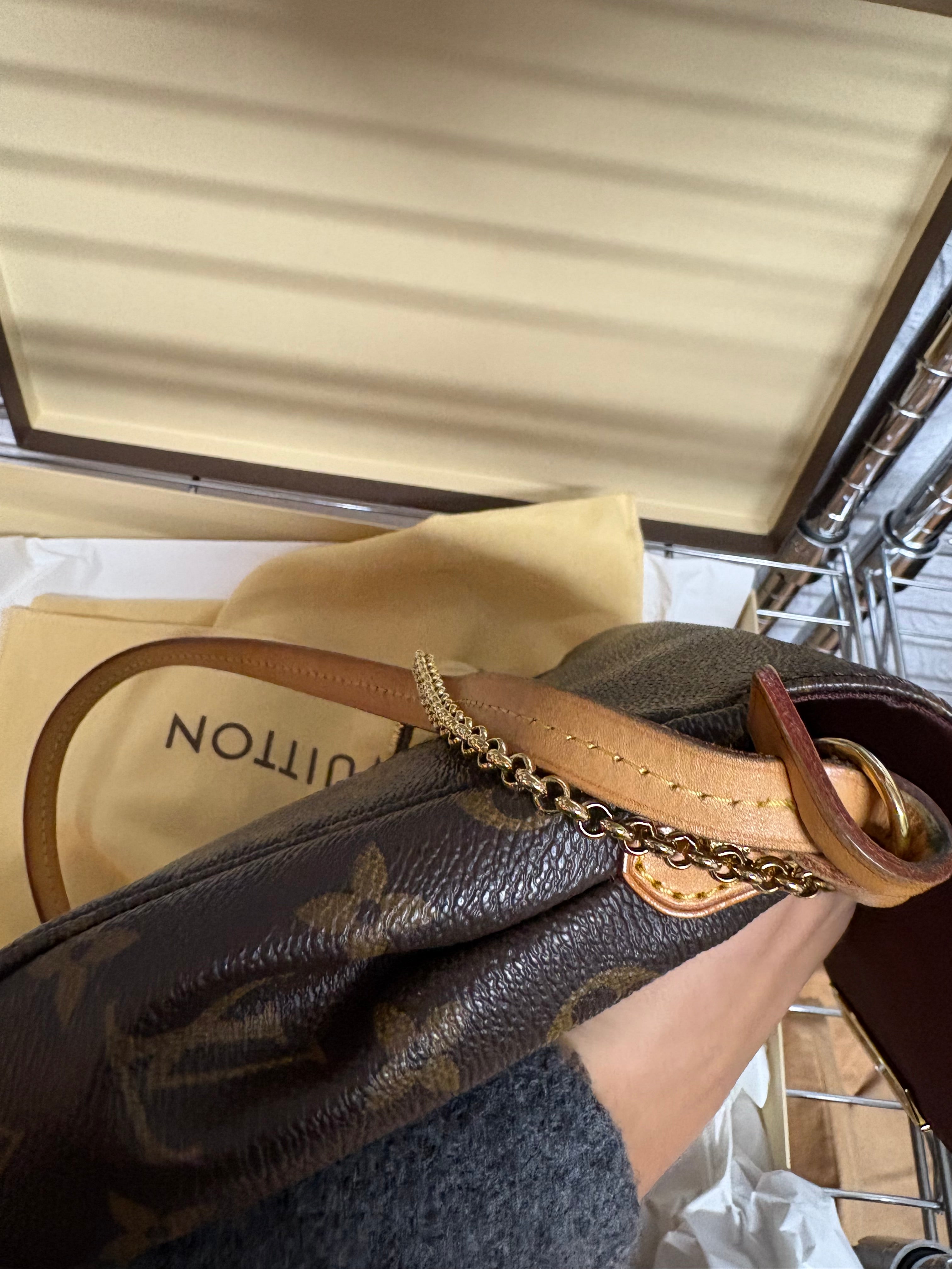 Louis Vuitton Favorite MM Monogram M40718
