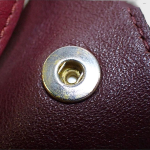 Celine Trapeze Tricolor