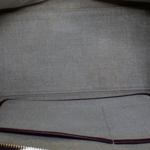 Celine Trapeze Tricolor