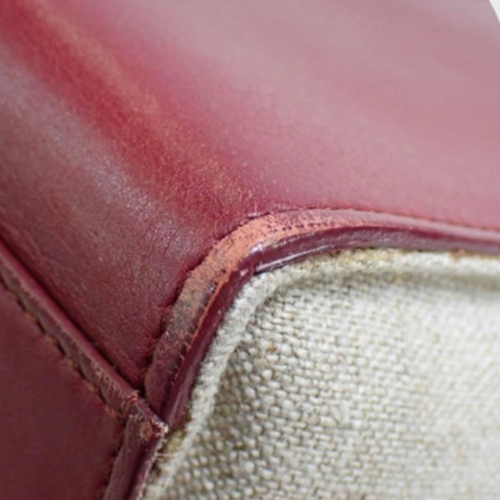 Celine Trapeze Tricolor