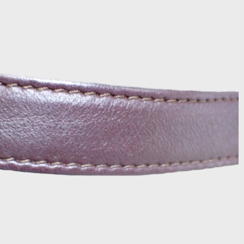 Celine Trapeze Tricolor