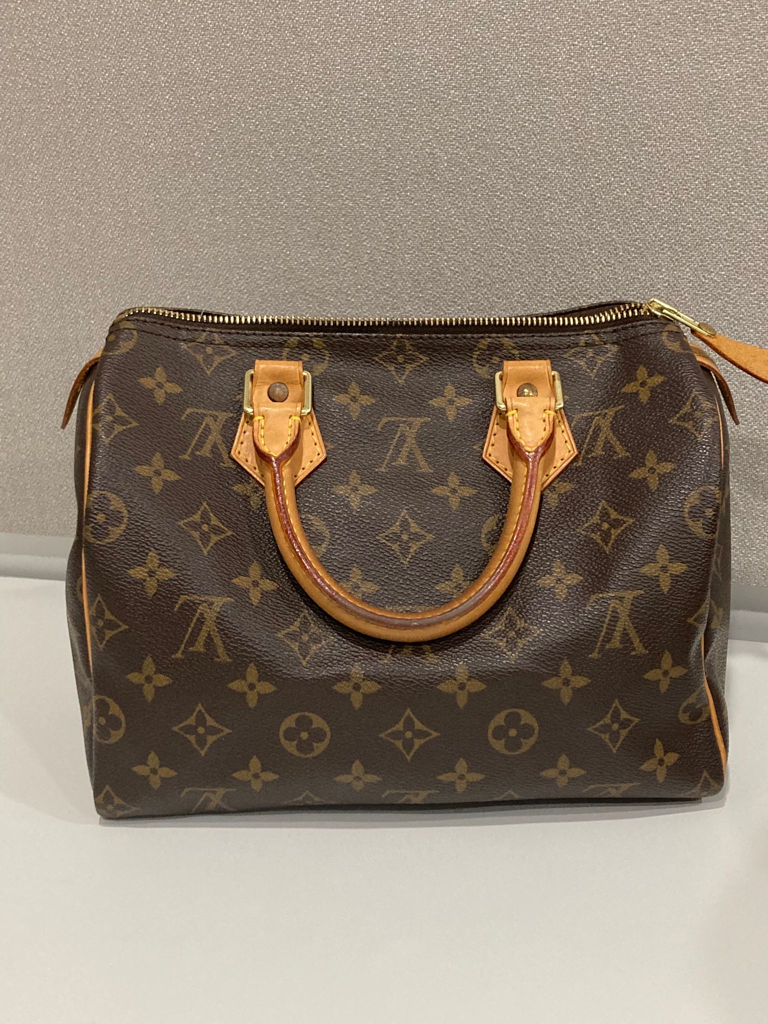 Louis Vuitton speedy 25 canvas monogram
