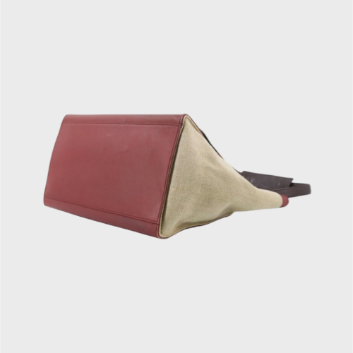 Celine Trapeze Tricolor