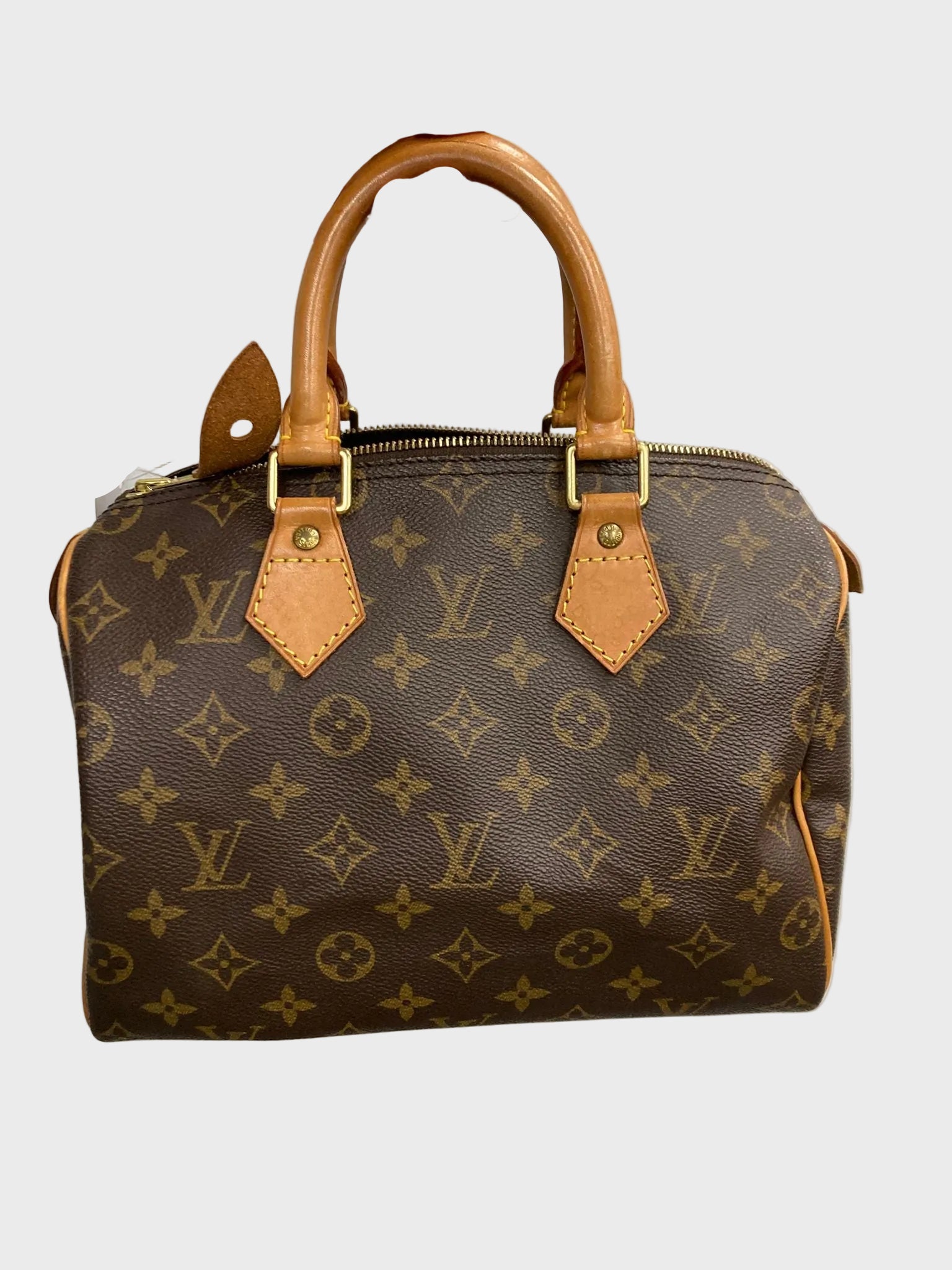 Louis Vuitton speedy 25 canvas monogram