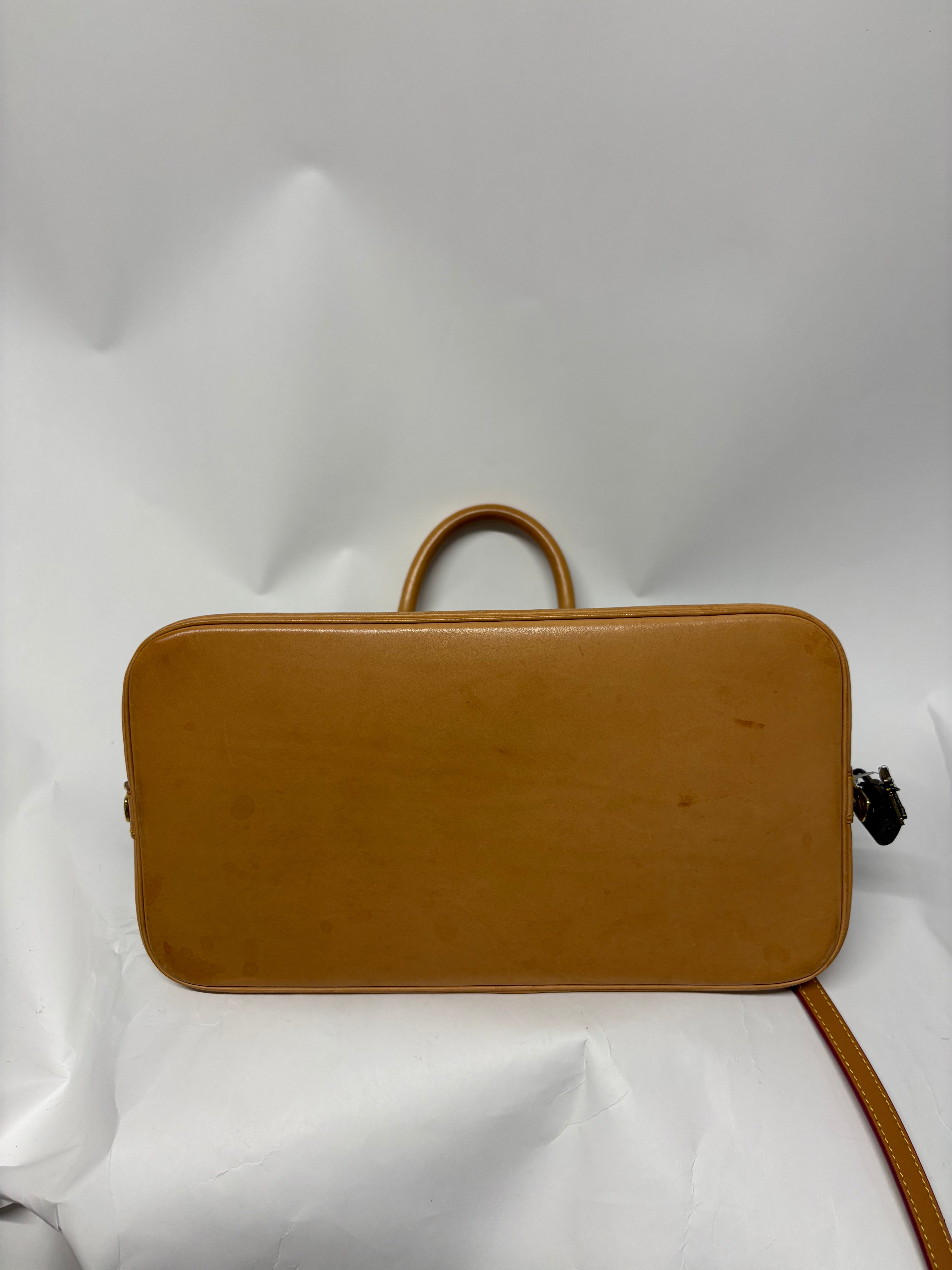 Louis Vuitton Alma PM Monogram