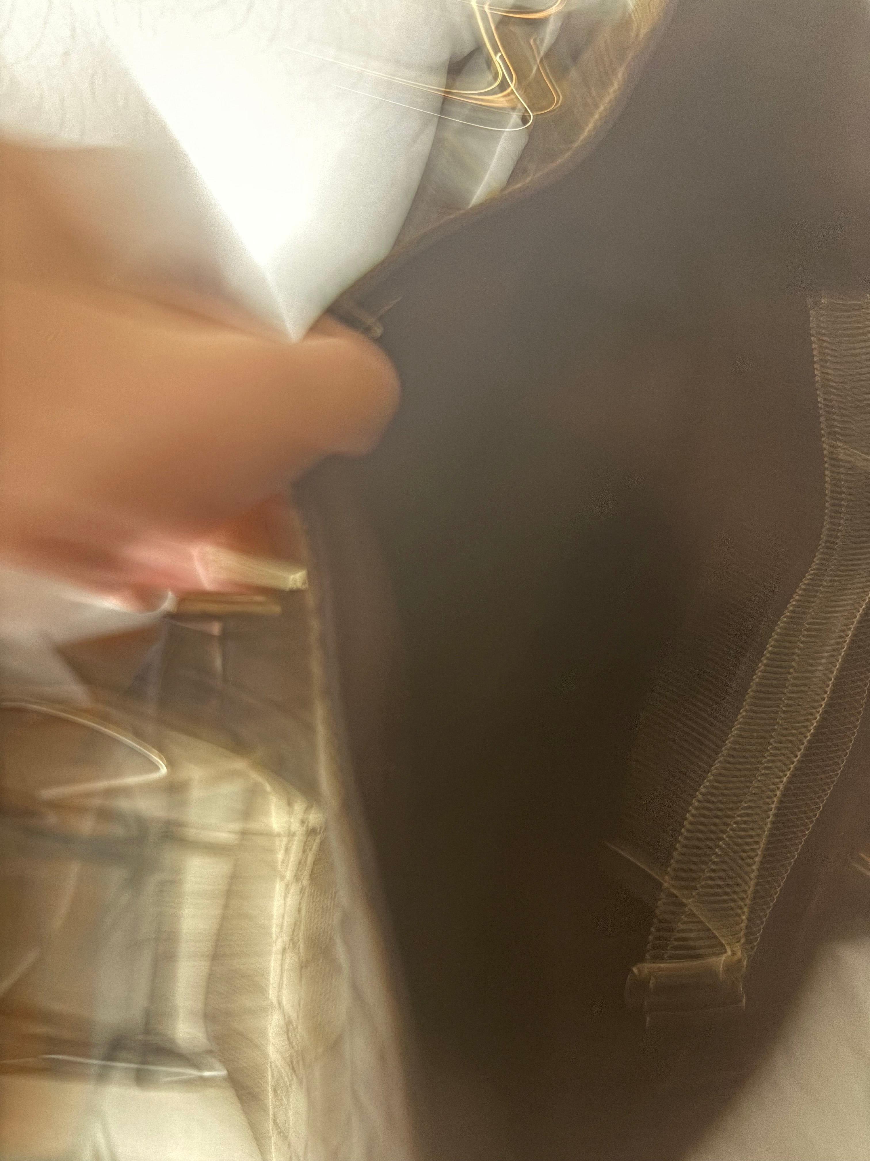 Gucci horsebit tote bag go canvas