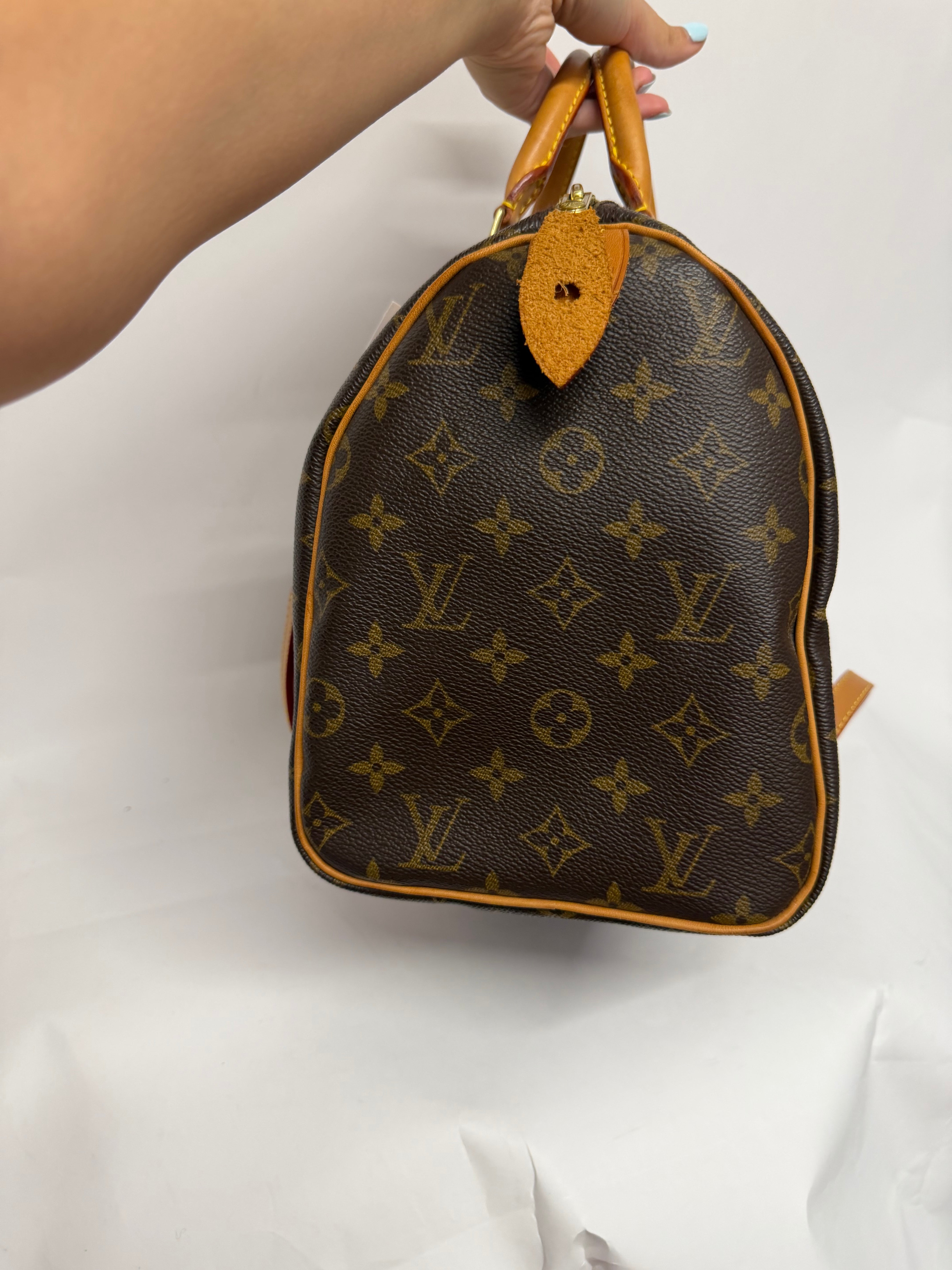 Louis Vuitton Speedy 30 Monogram TH0042