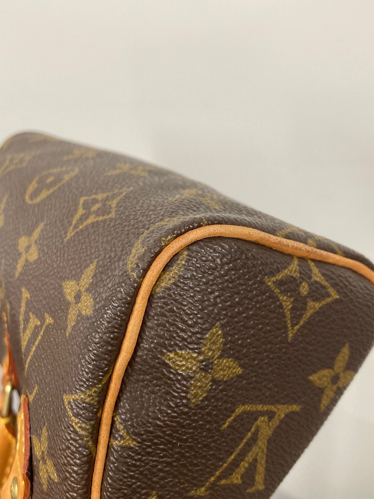 Louis Vuitton mini speedy canvas monogram