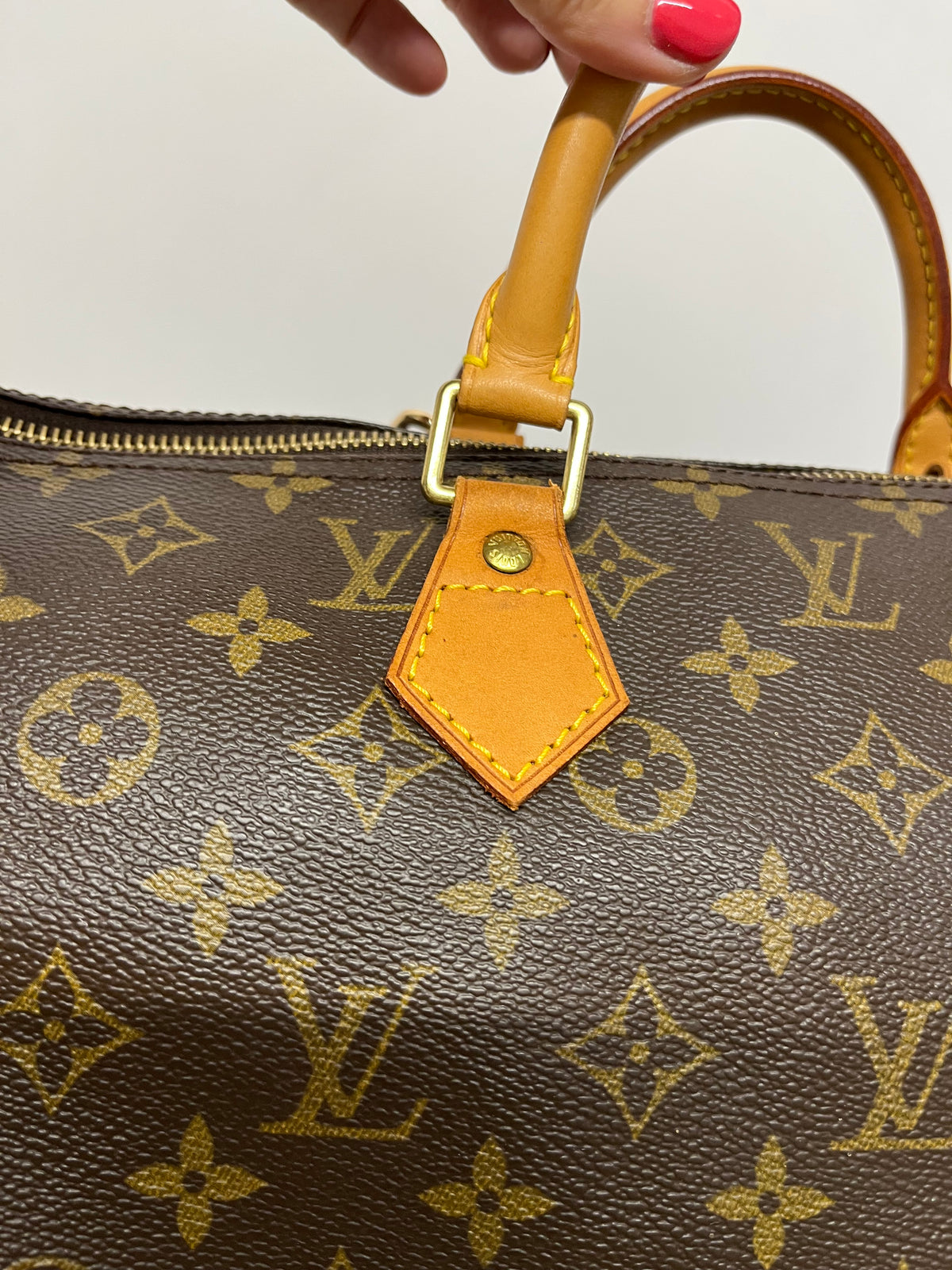 Louis Vuitton Speedy 40 Lona Monogram