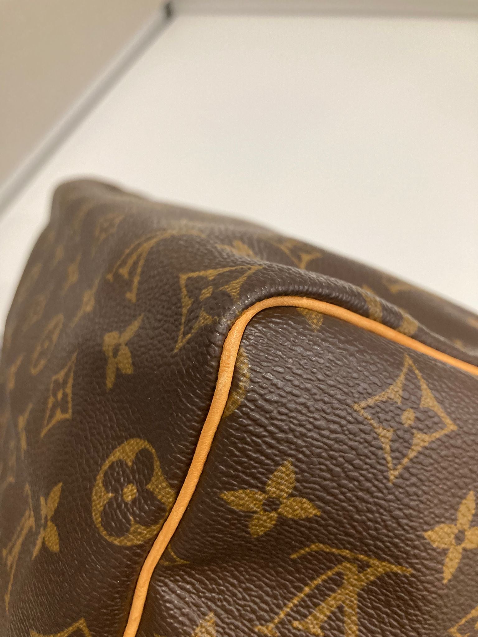 Louis Vuitton speedy 25 canvas monogram