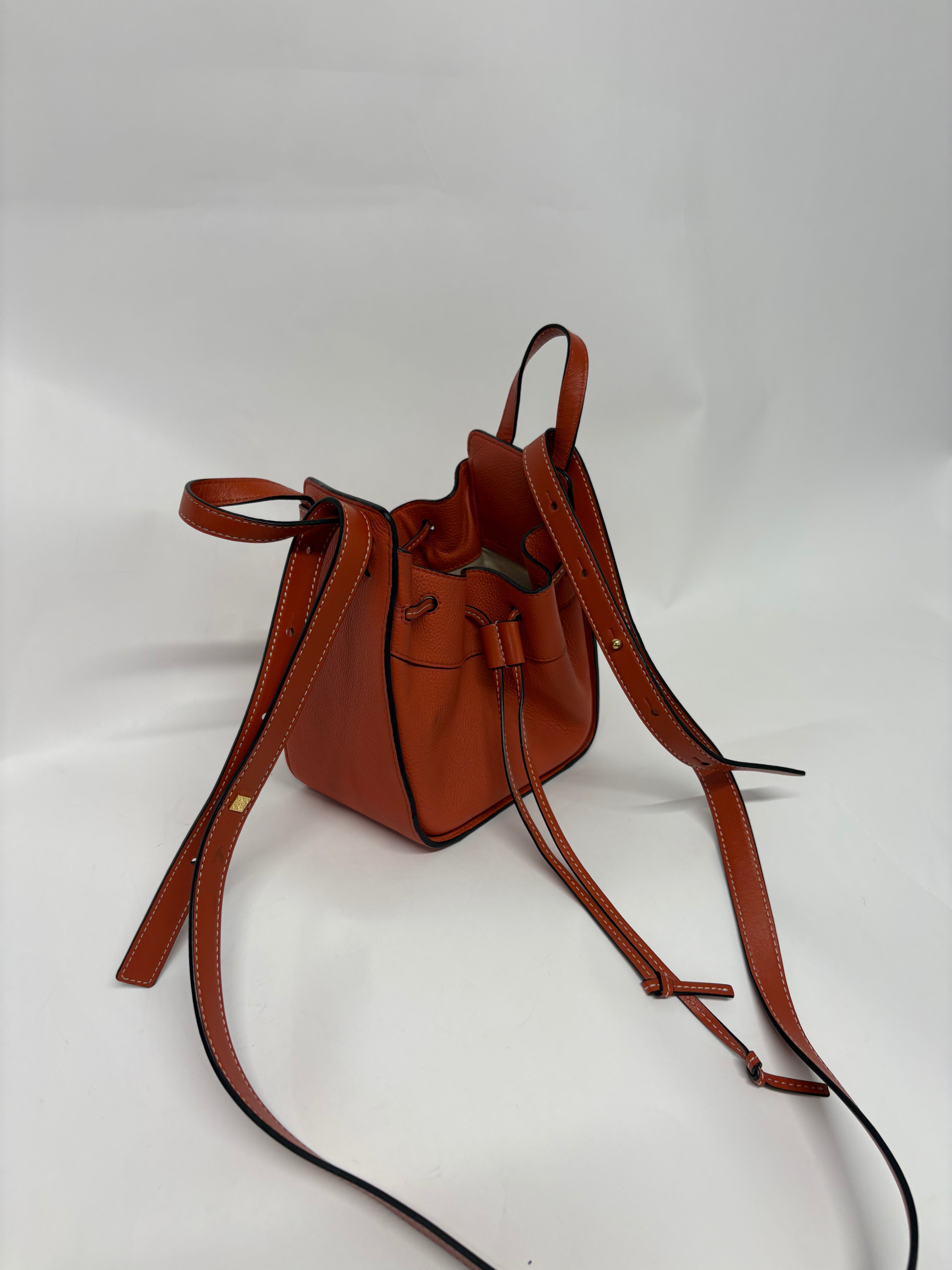 Loewe mini hammock coral