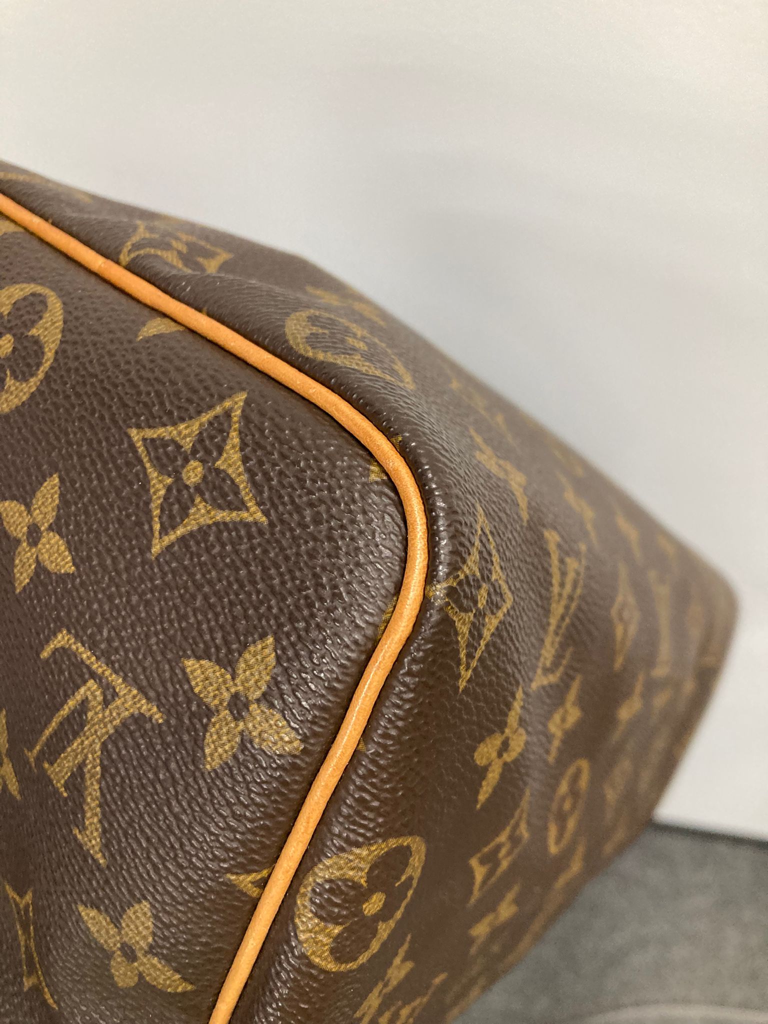 Louis Vuitton speedy 25 canvas monogram