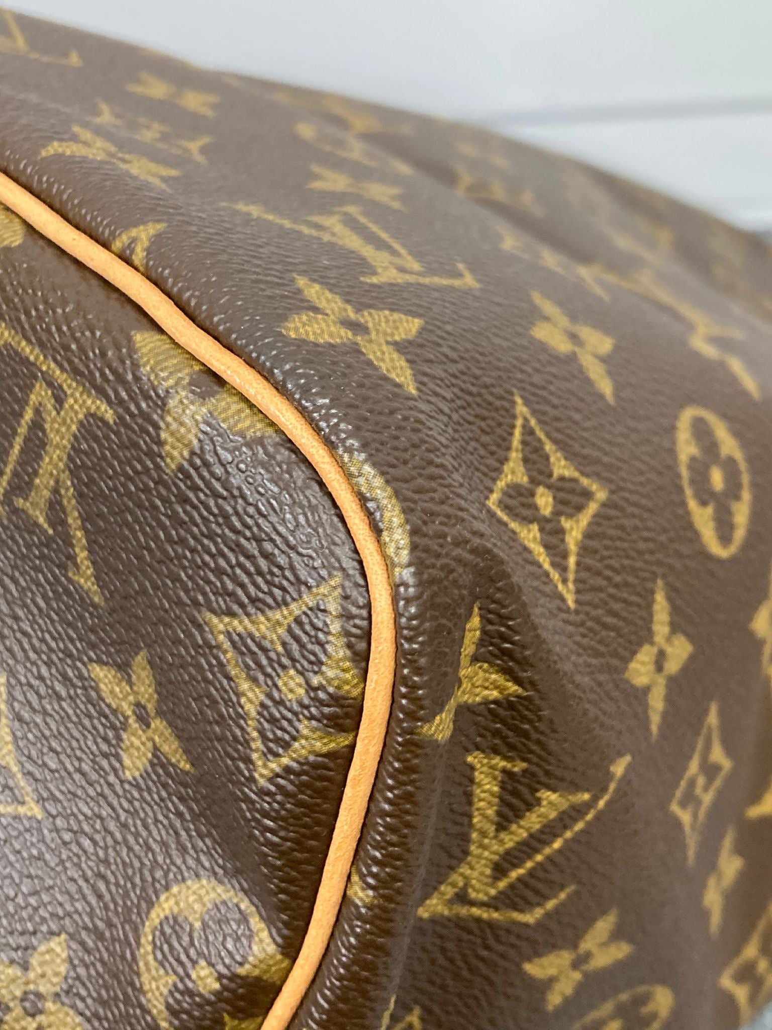 Louis Vuitton speedy 30 monogram