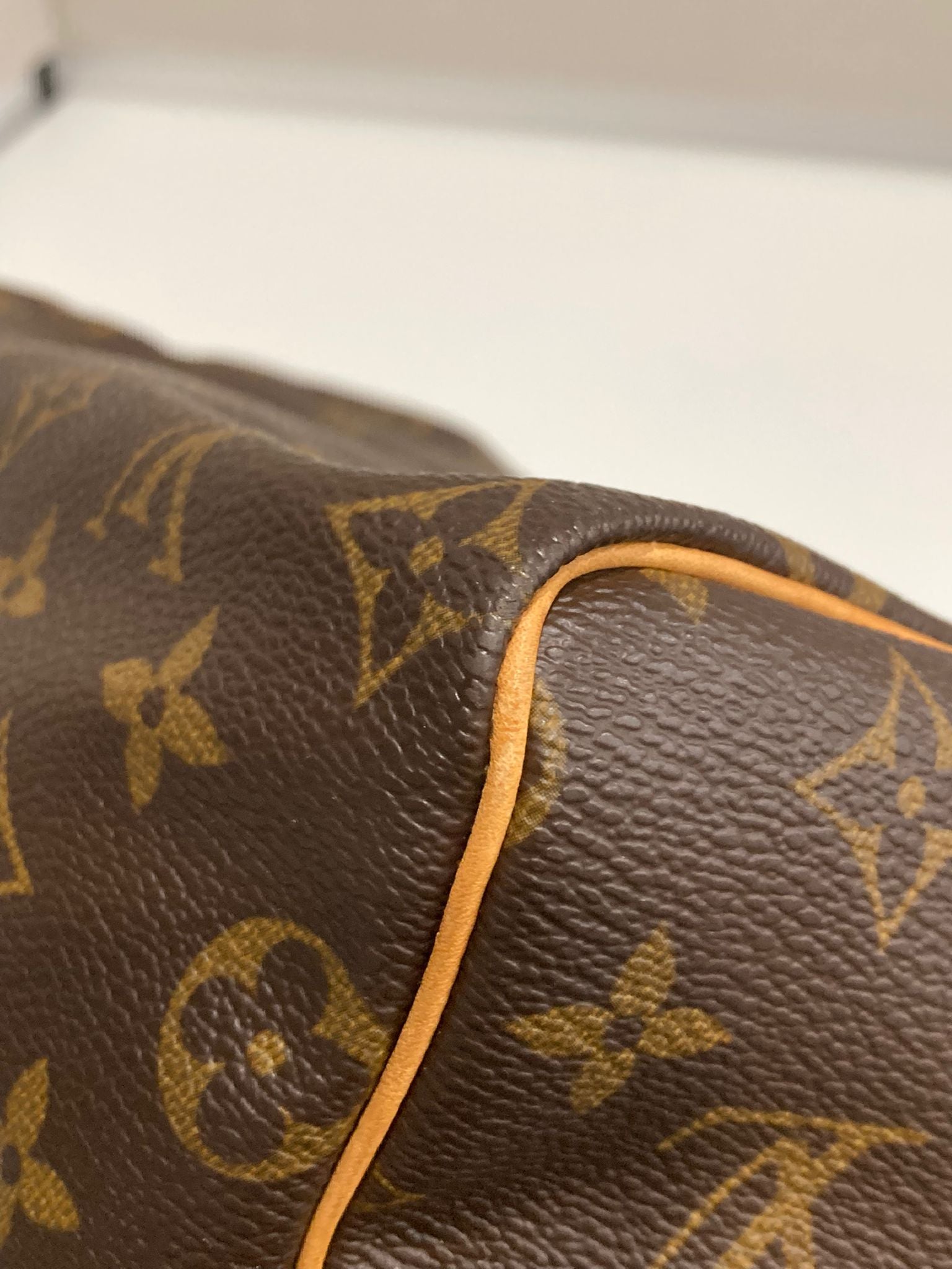 Louis Vuitton speedy 25 canvas monogram
