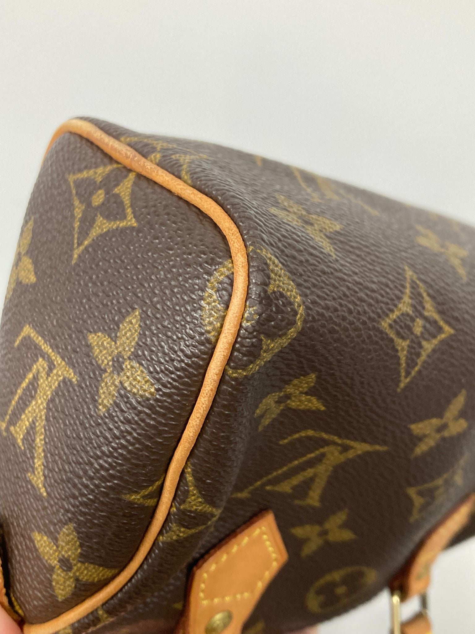 Louis Vuitton mini speedy canvas monogram