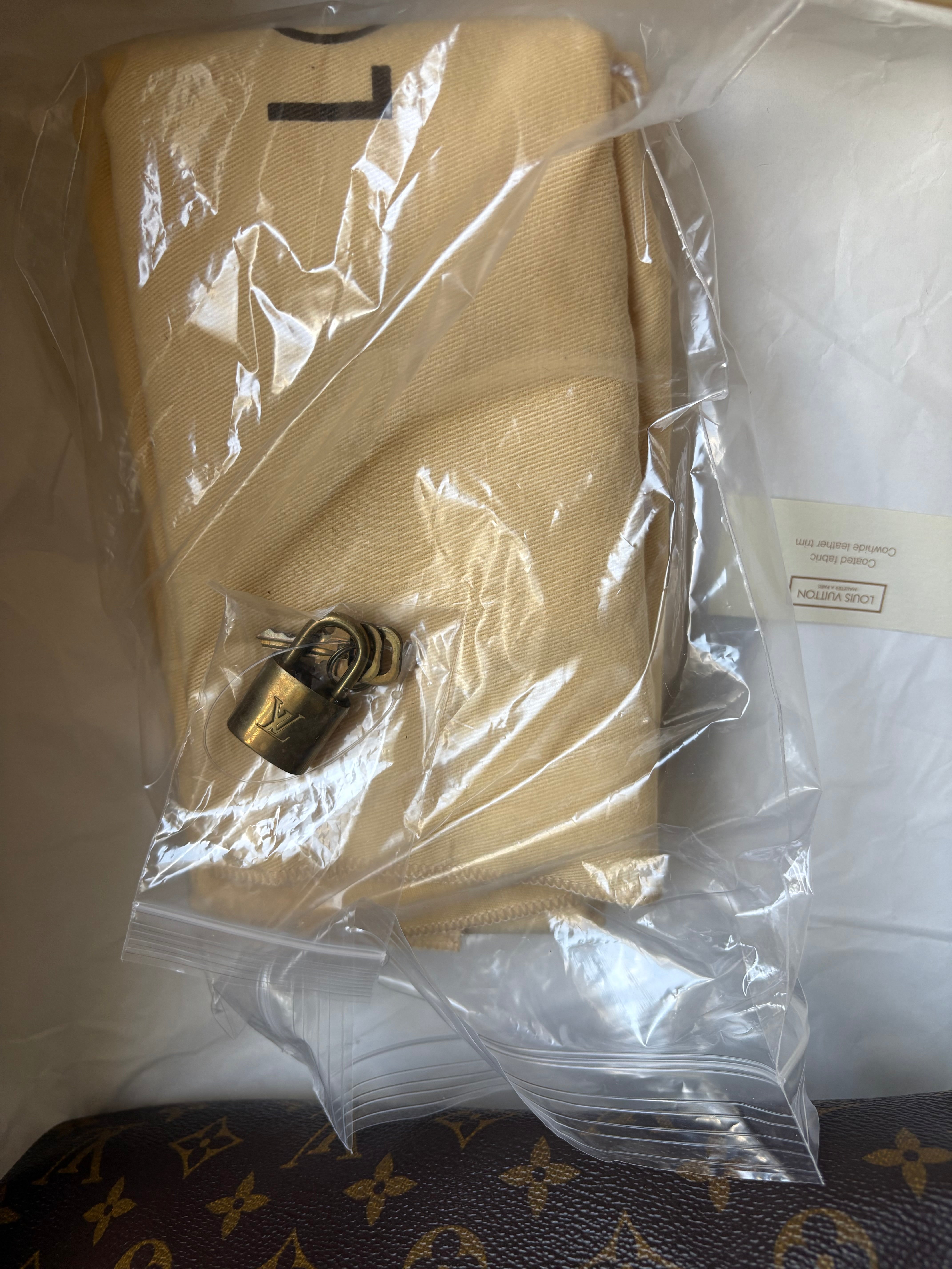 Louis Vuitton Speedy 30 Monogram