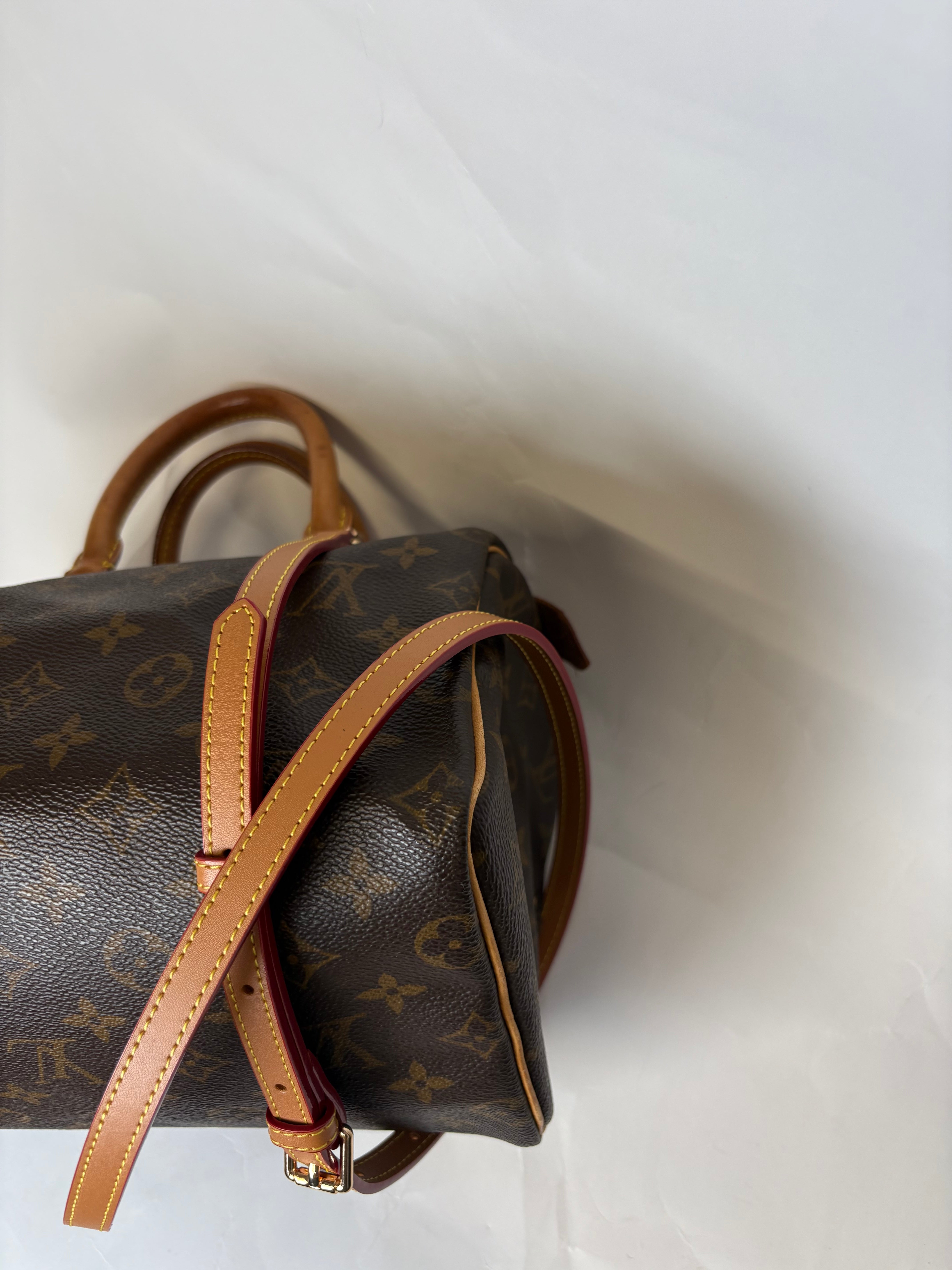 Louis Vuitton speedy 25 canvas Monogram SP1909