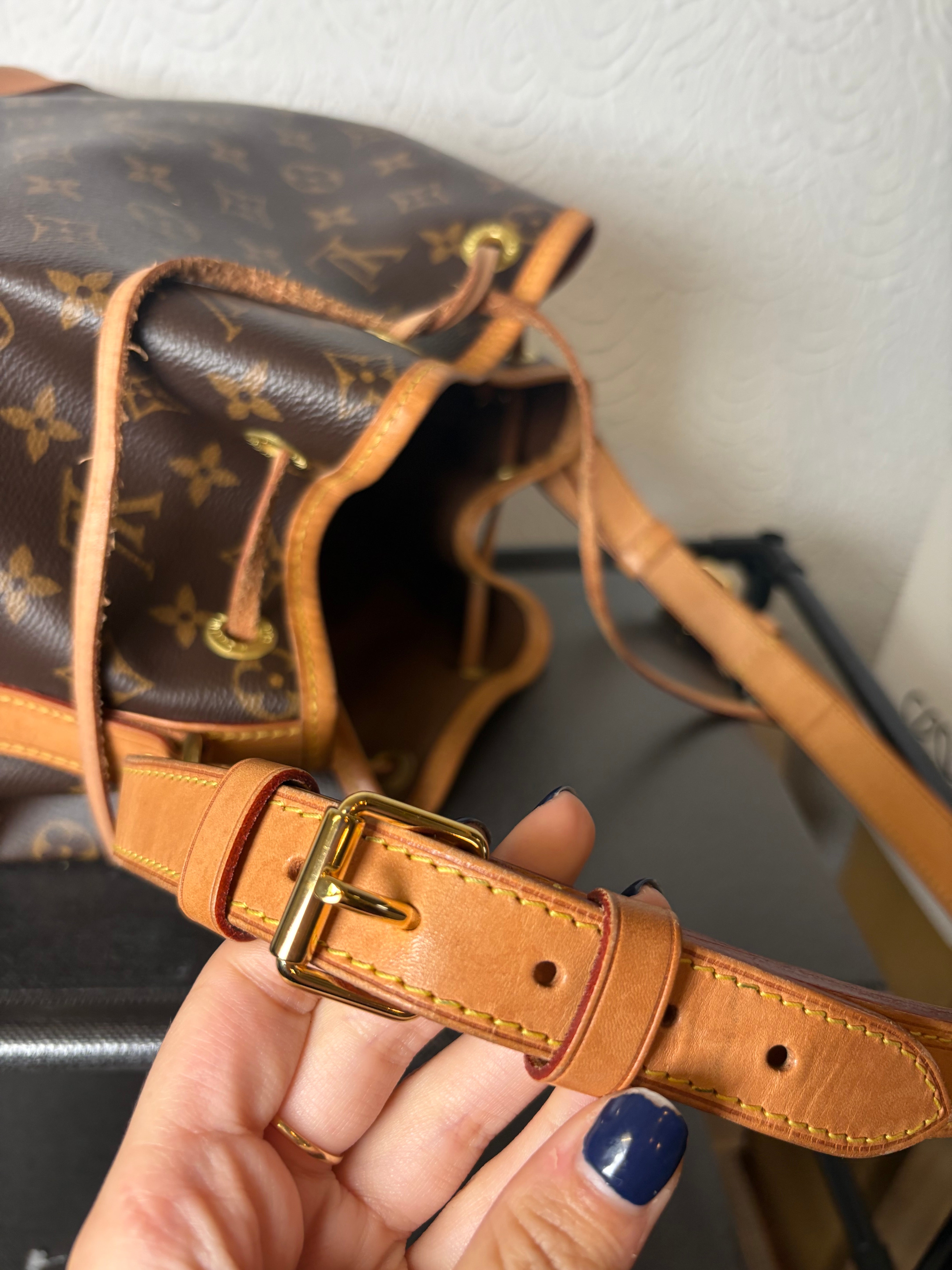 Louis Vuitton Petit Noé Monogram Canvas