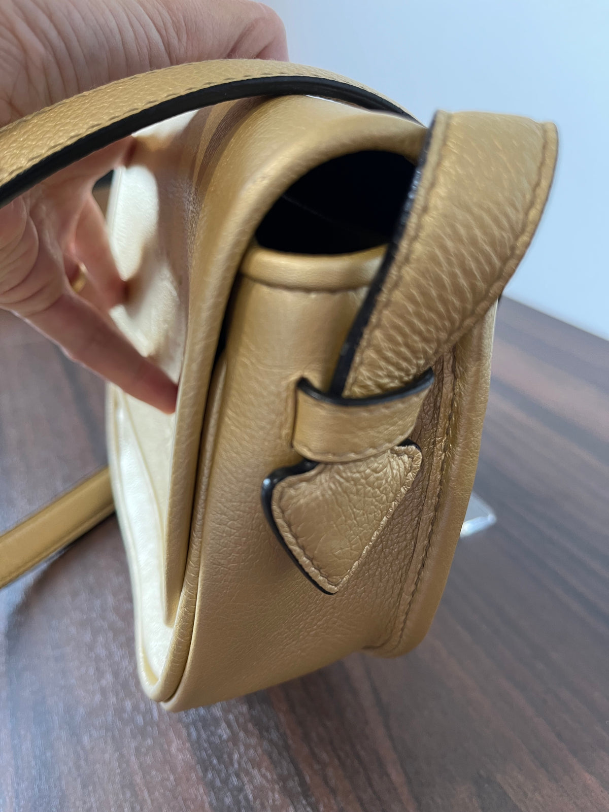 Loewe Heritage pequeña Bandolera Piel Graneada Dorada Metalizada