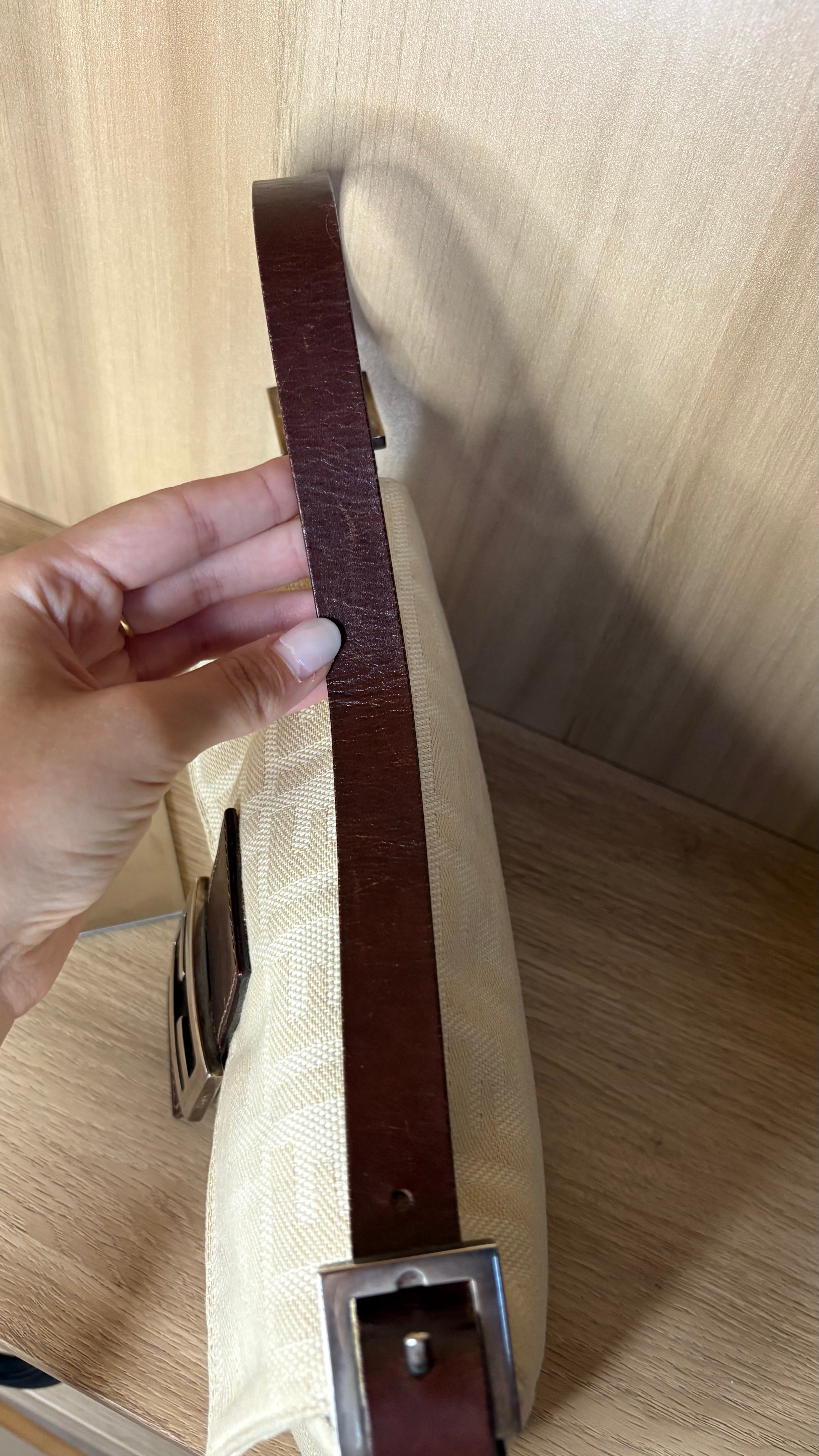 Fendi baguette zucca Arena