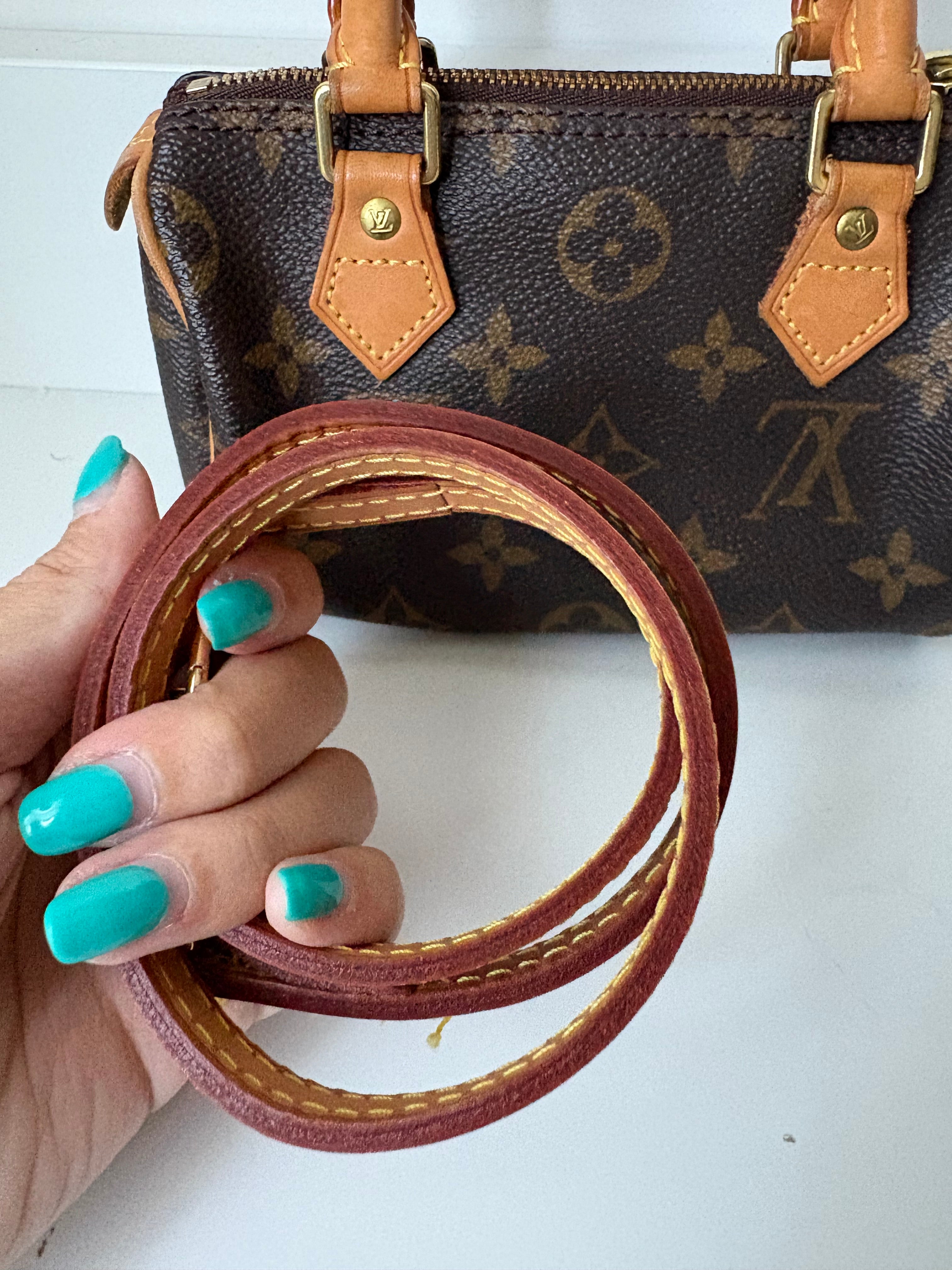 Louis Vuitton Nano Speedy Canvas monogram con correa